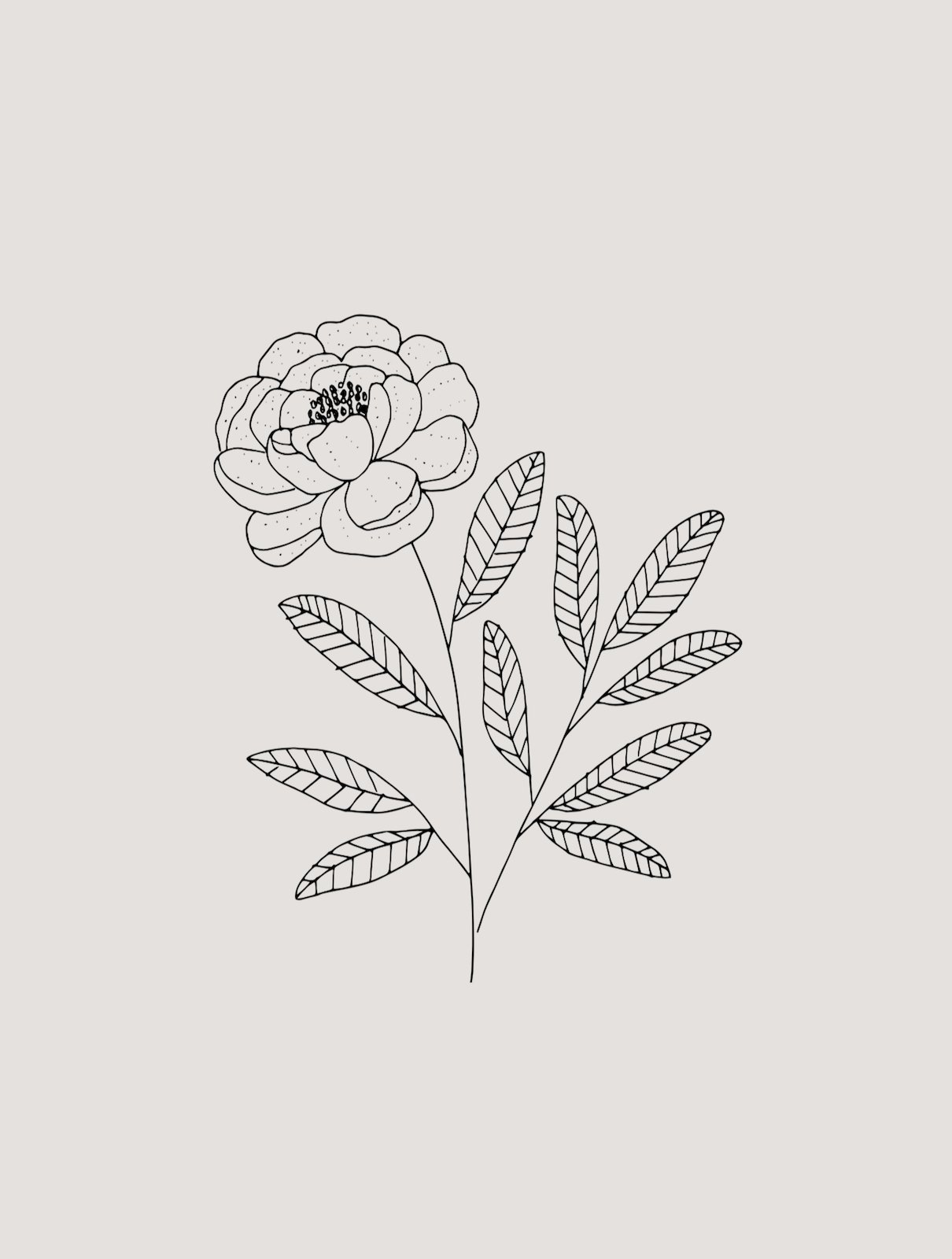 peony.jpeg