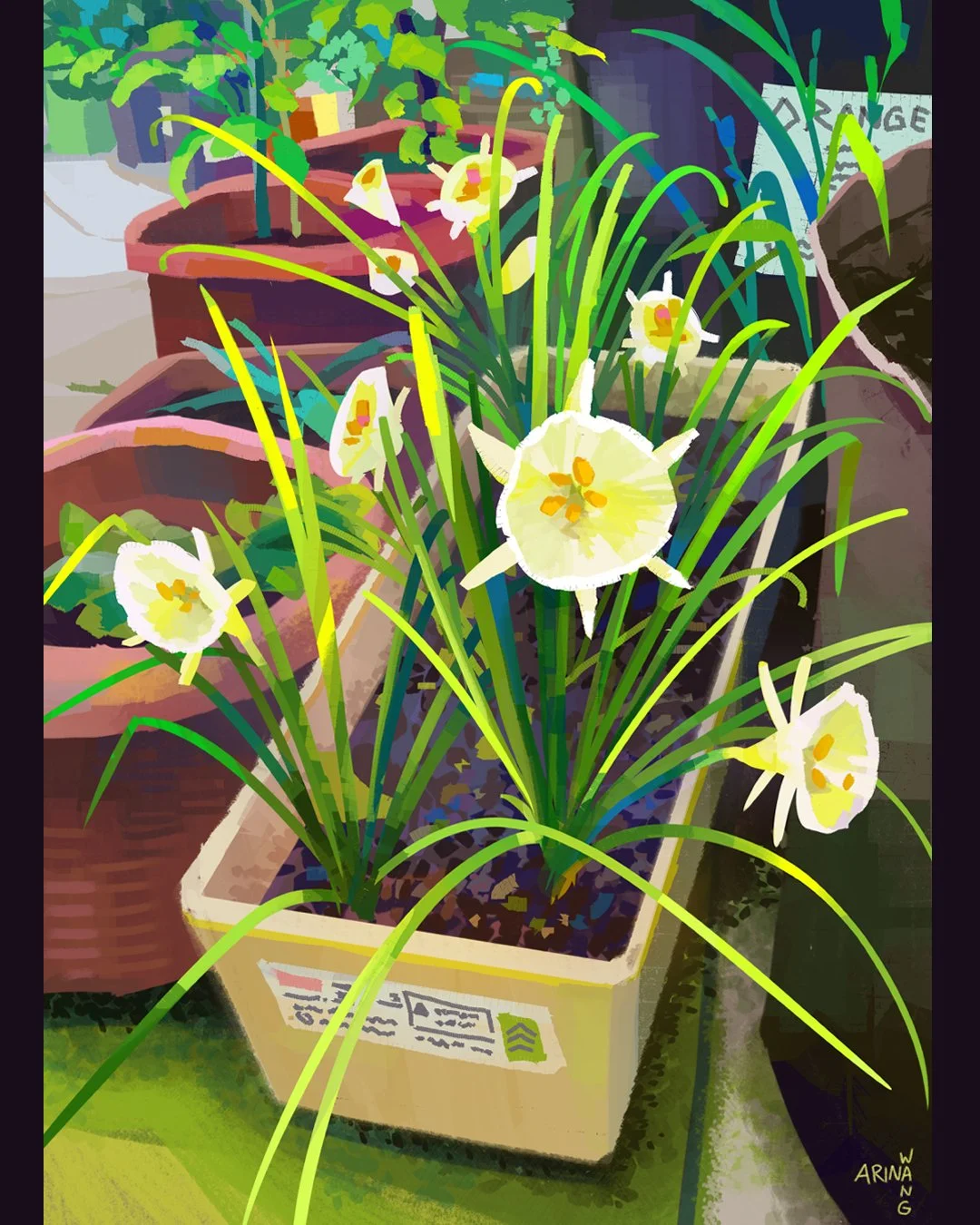 study_flower_arinawang2.jpg