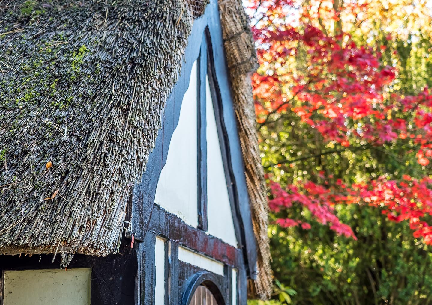 Little Stanneylands@25%_0008_Little Stanneylands Exterior-31.jpg