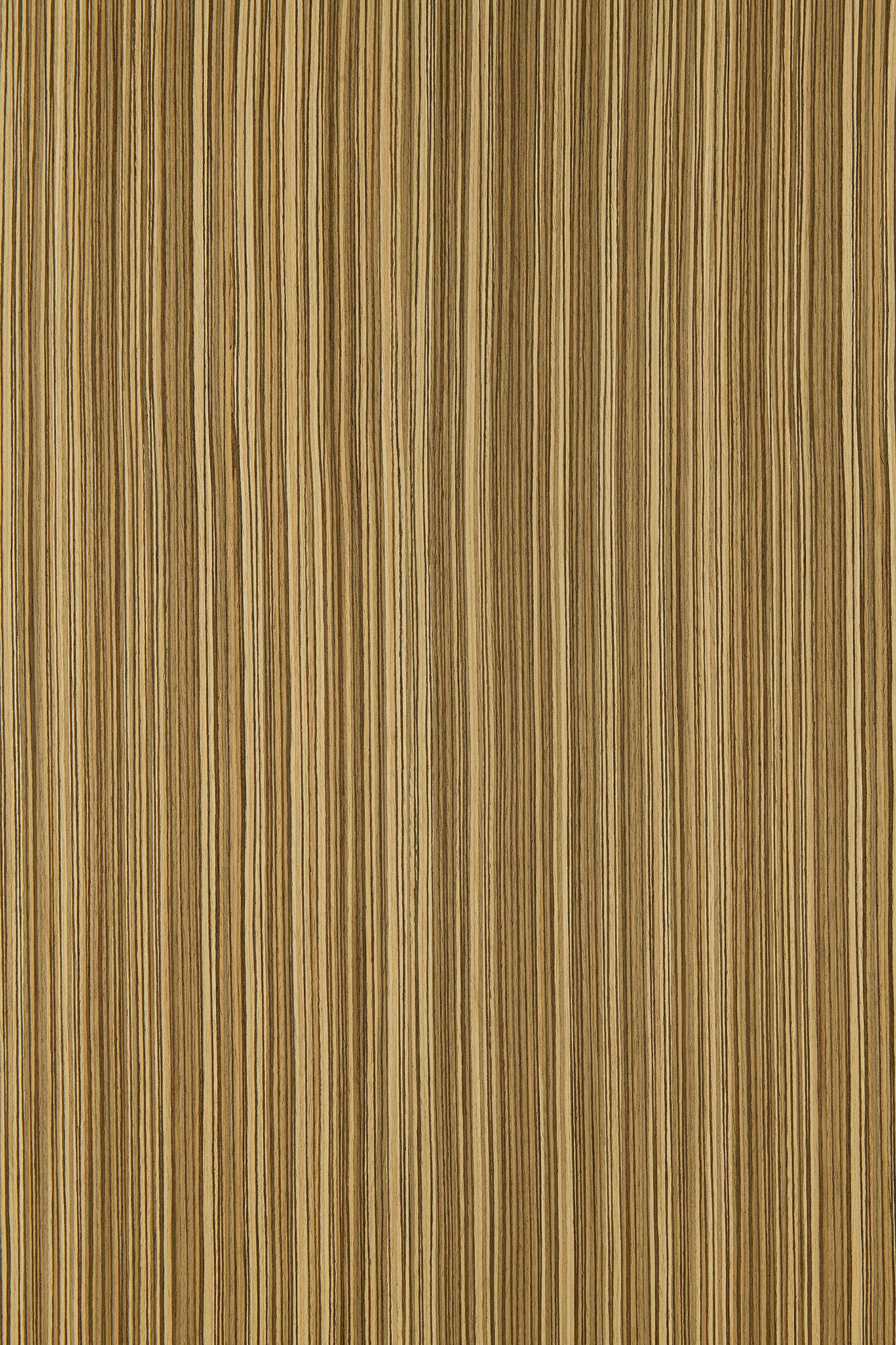 Zebrano
