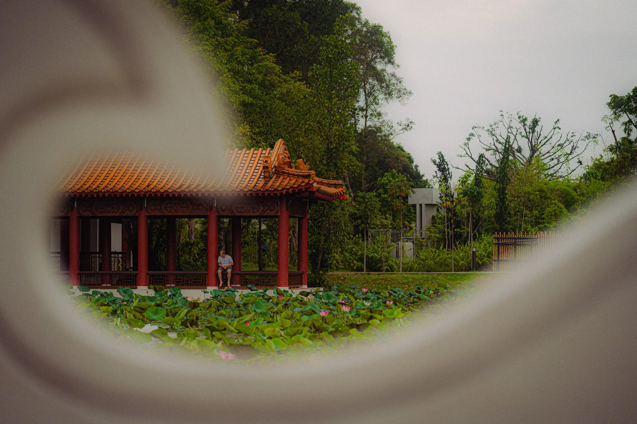 ANI08442.jpg
