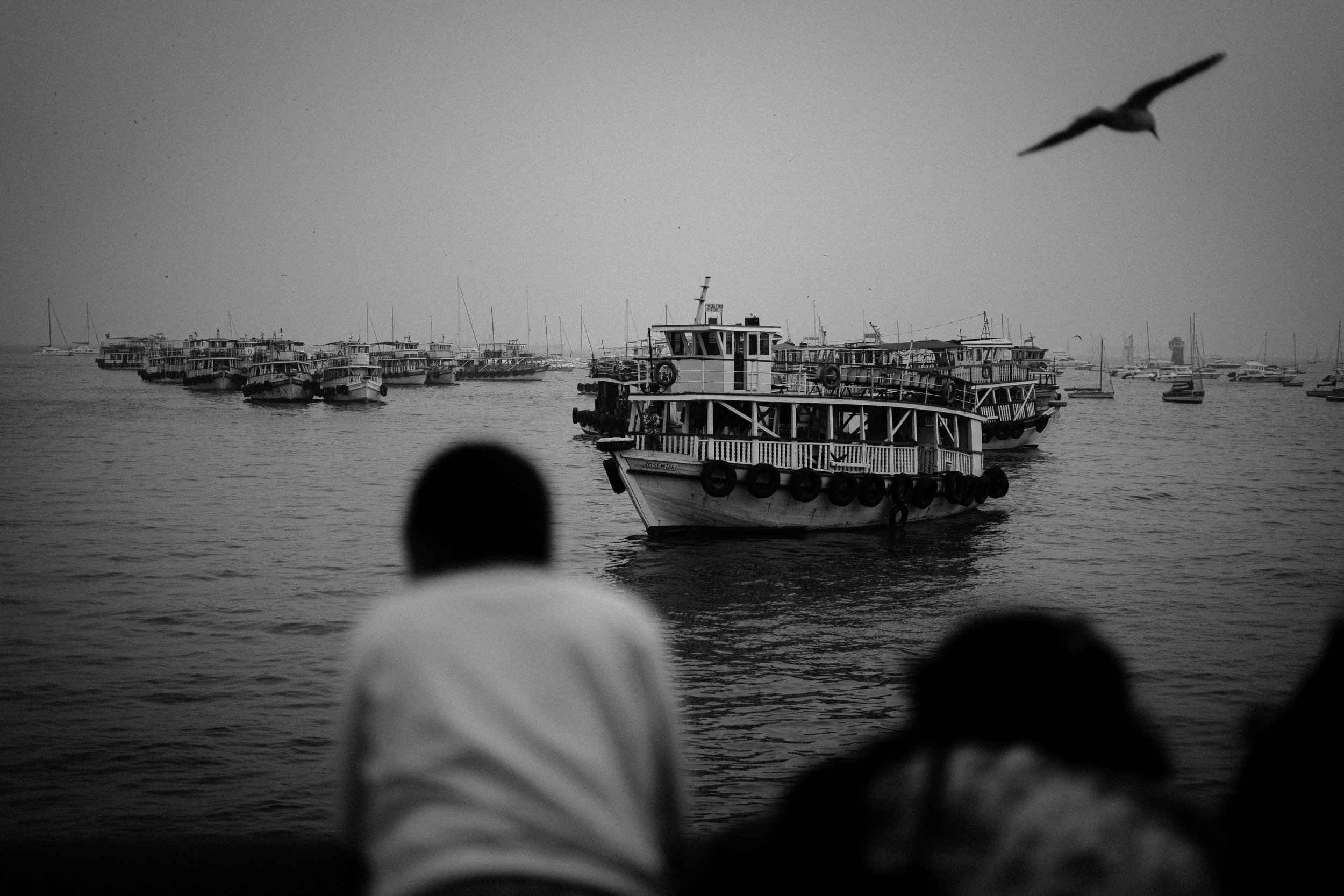 ANI03290.jpg