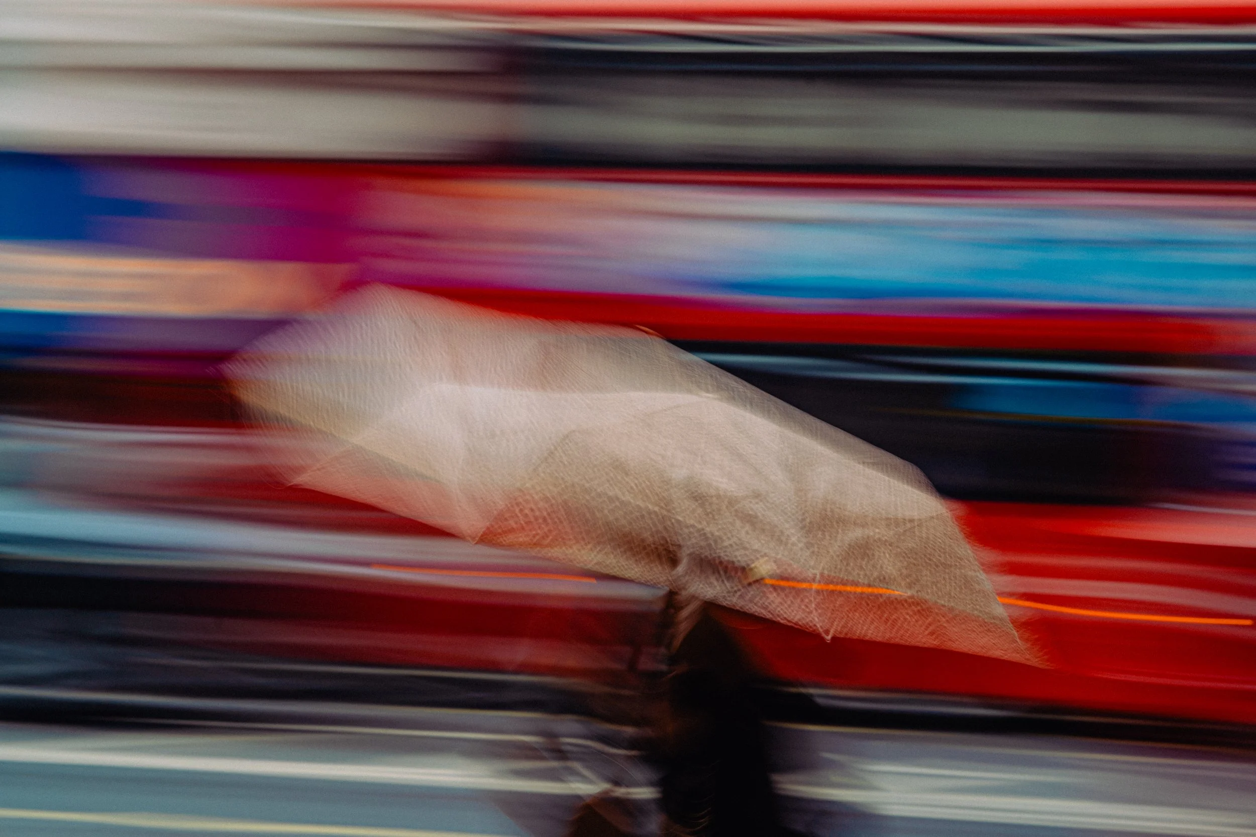 ANI00595.jpg