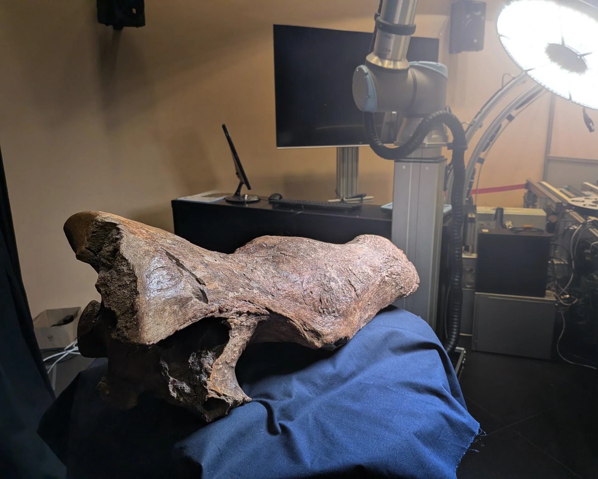 A Digital Fossile from Darmstadt