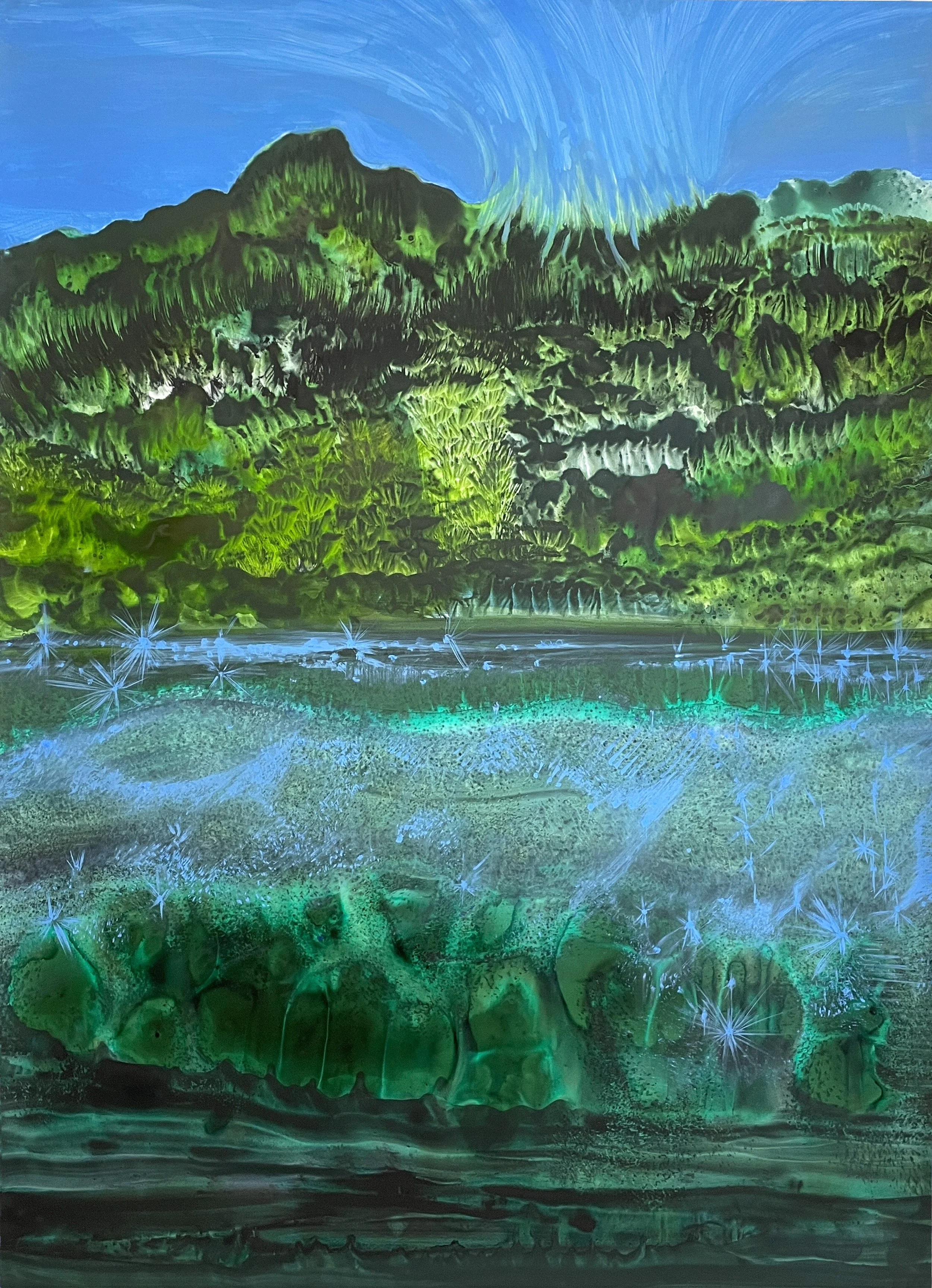 La forêt abyssalee copie 2.jpg