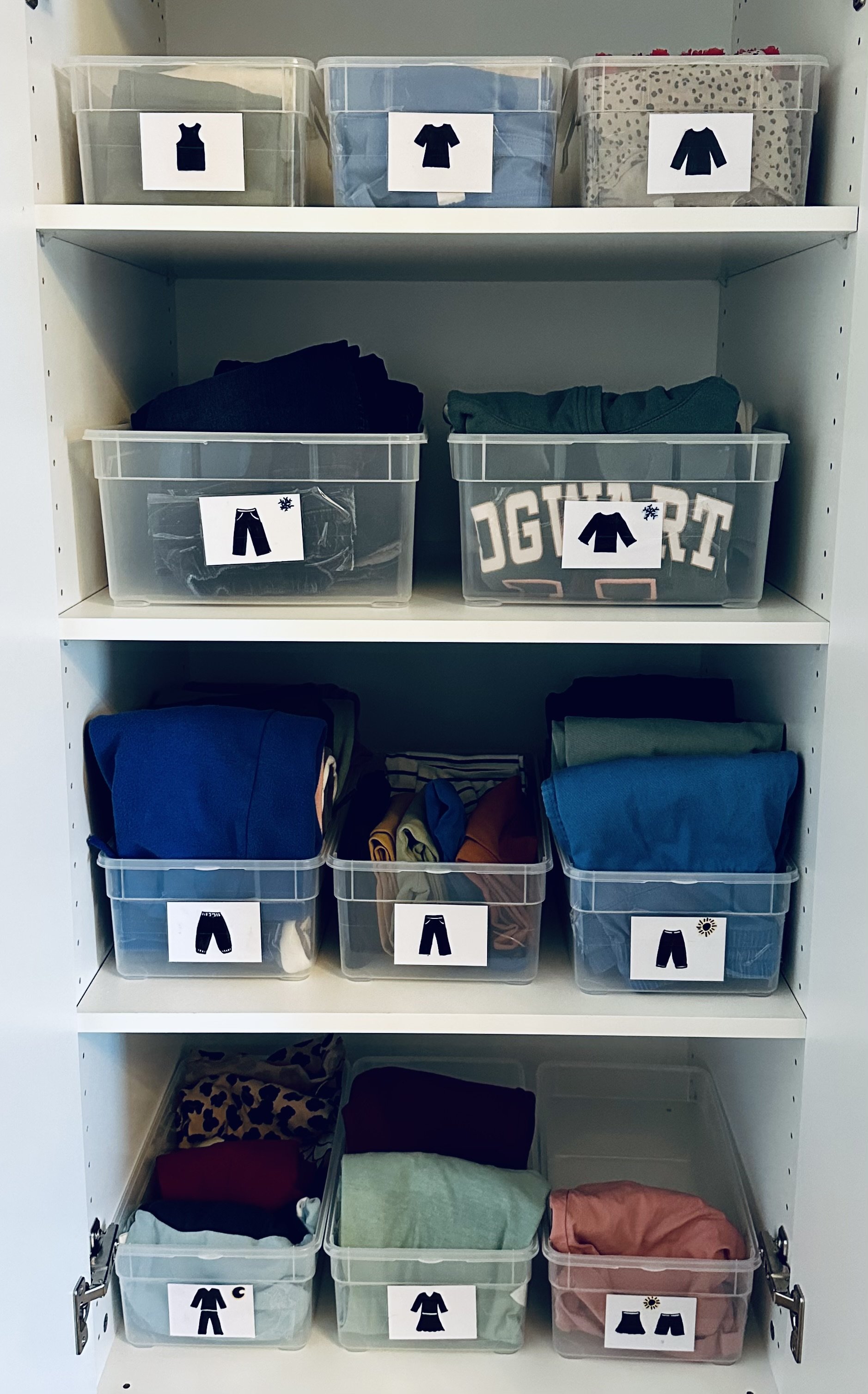 Organisation_8.jpeg