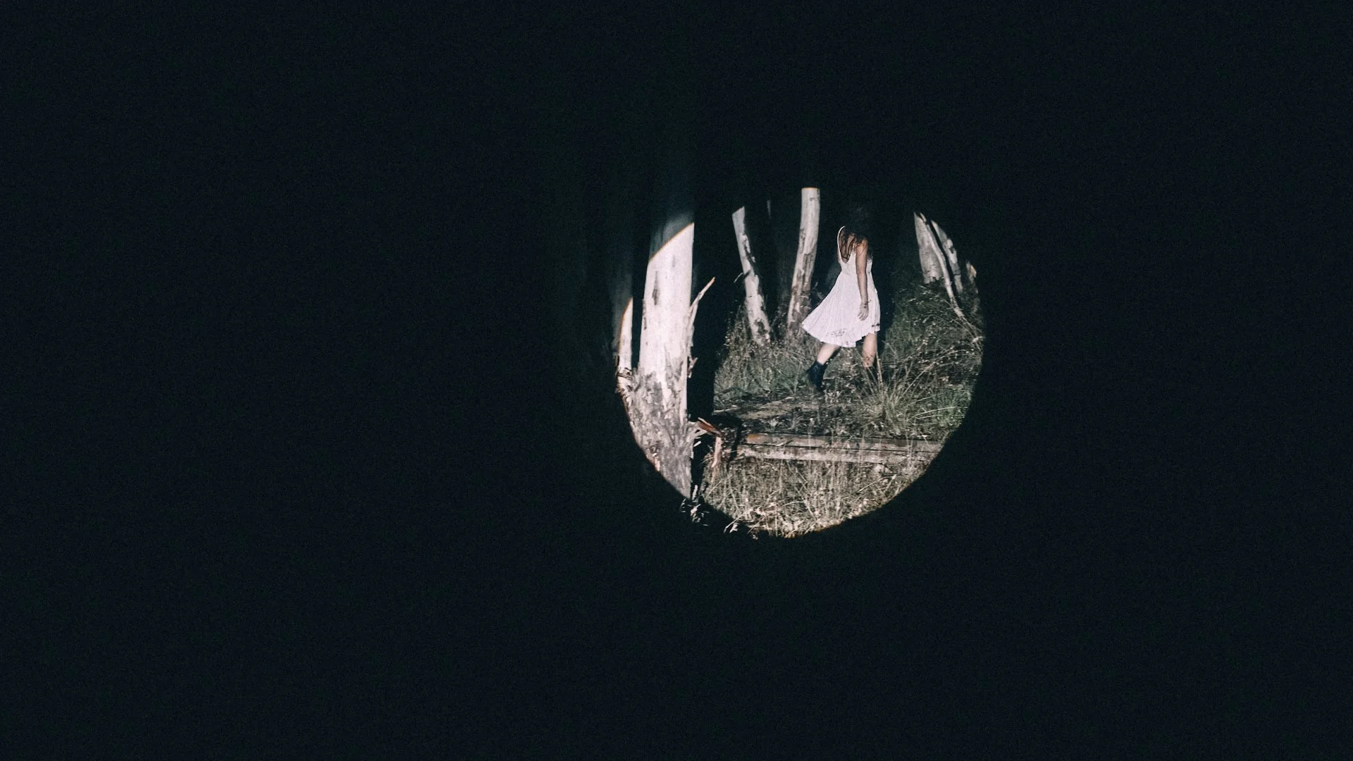 Isabella Andronos_Nick McKk_Sparrows_21.jpg