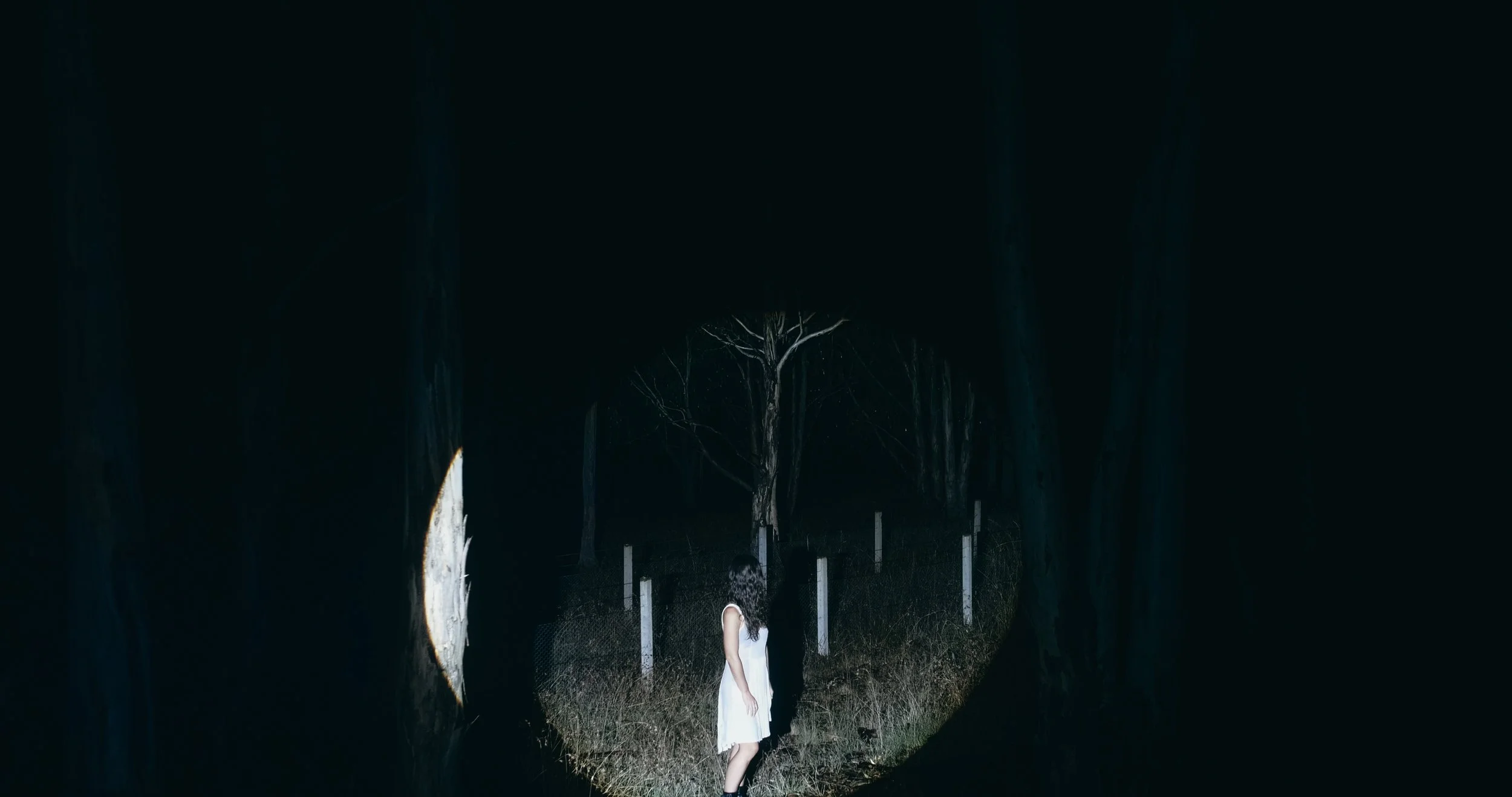 Isabella Andronos_Nick McKk_Sparrows_22.jpg