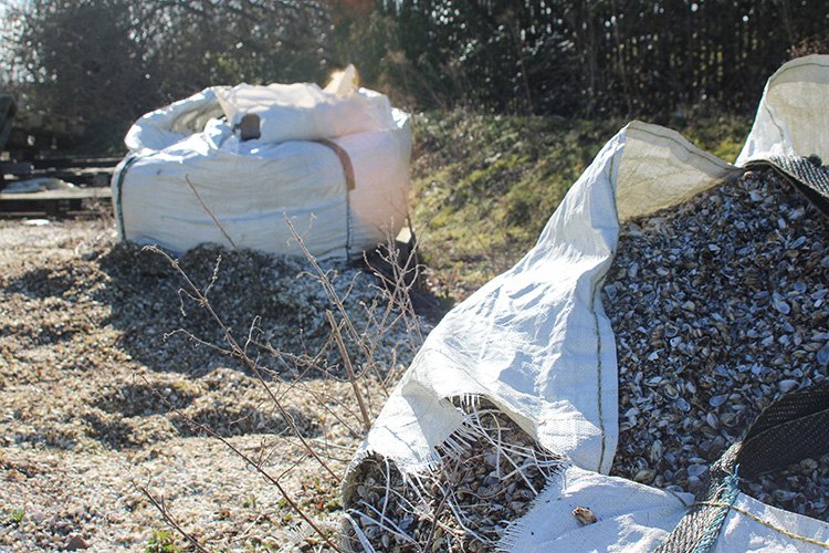 large bags of mussel shells