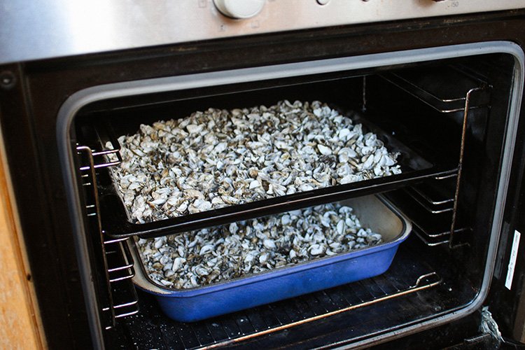 mussel shells being cooked in a oven