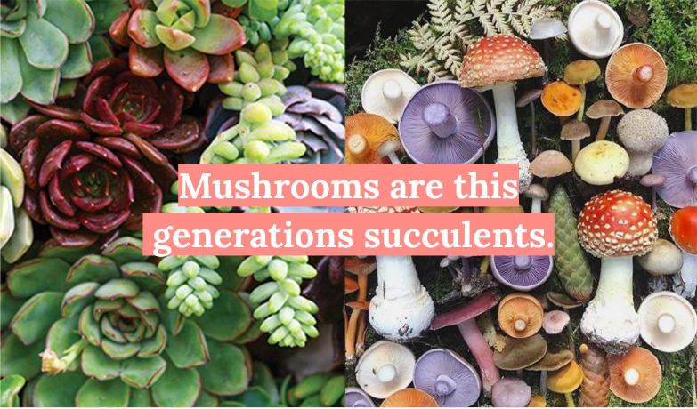 Screen Shot 2022-10-28 at 4.03.50 PM.png