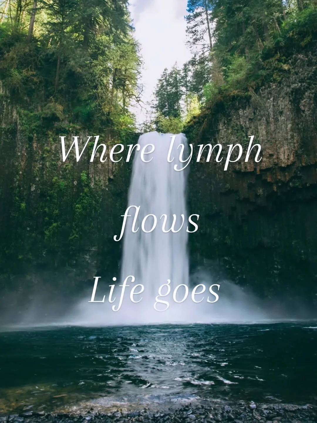 Lymphatic Face &amp; Body Therapy

Now available at April Alexandra Nutrition

I am truly delighted to be introducing carefully selected lymphatic therapies as part of our Naturopathic, whole-body approach to supporting your health. As any of my Bior