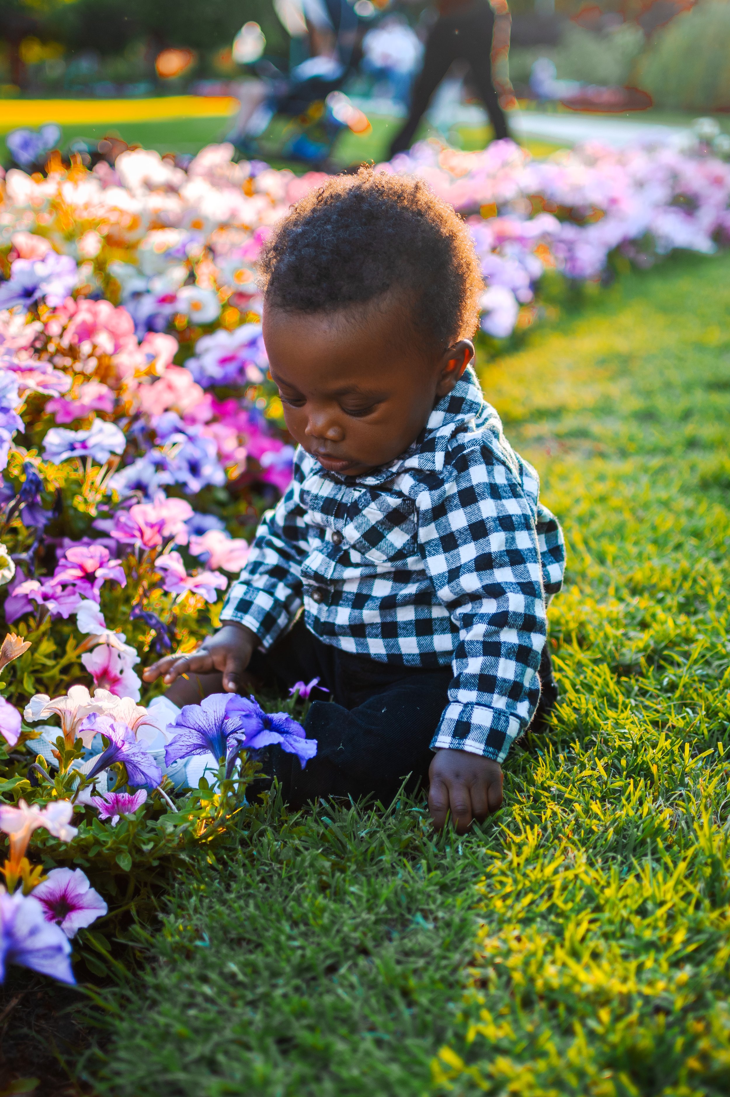 JUM_6233-2 (Custom).jpg