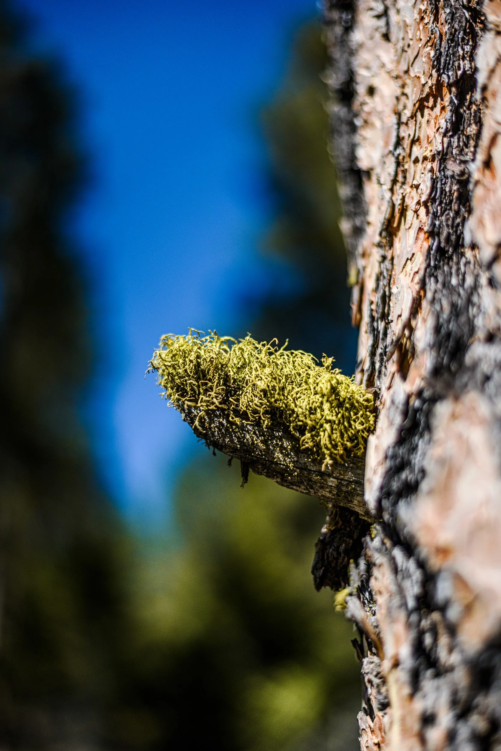 JUM_7122-1 (Custom).jpg