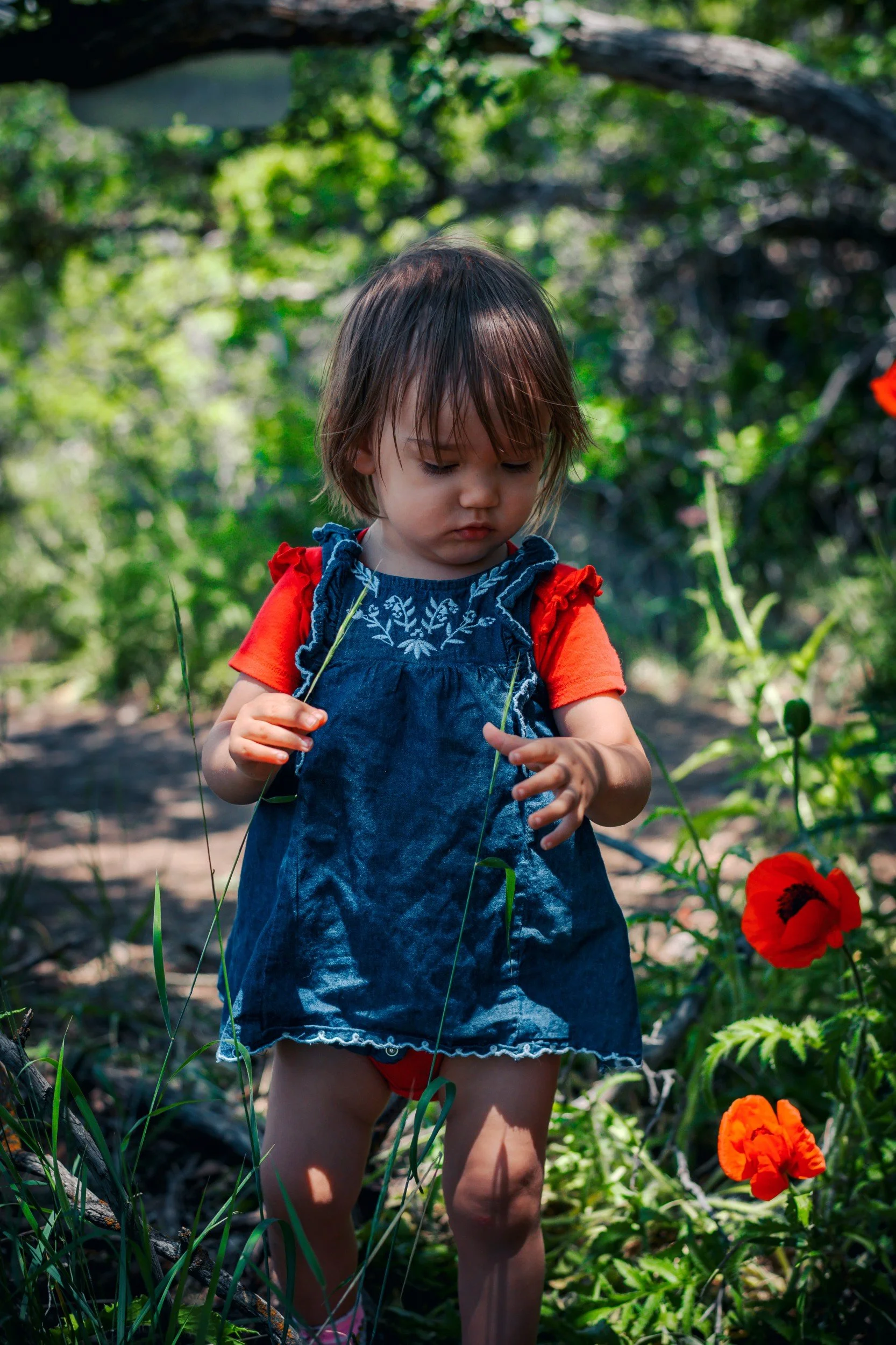 JUM_1818-1 (Custom).jpg