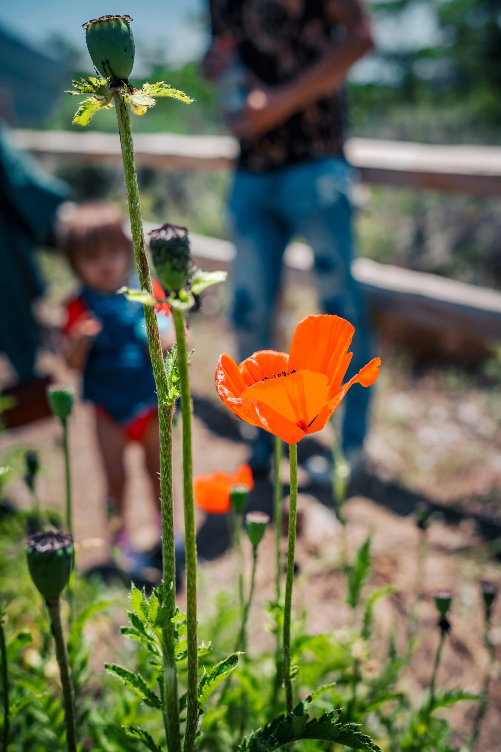 JUM_1942-1 (Custom).jpg