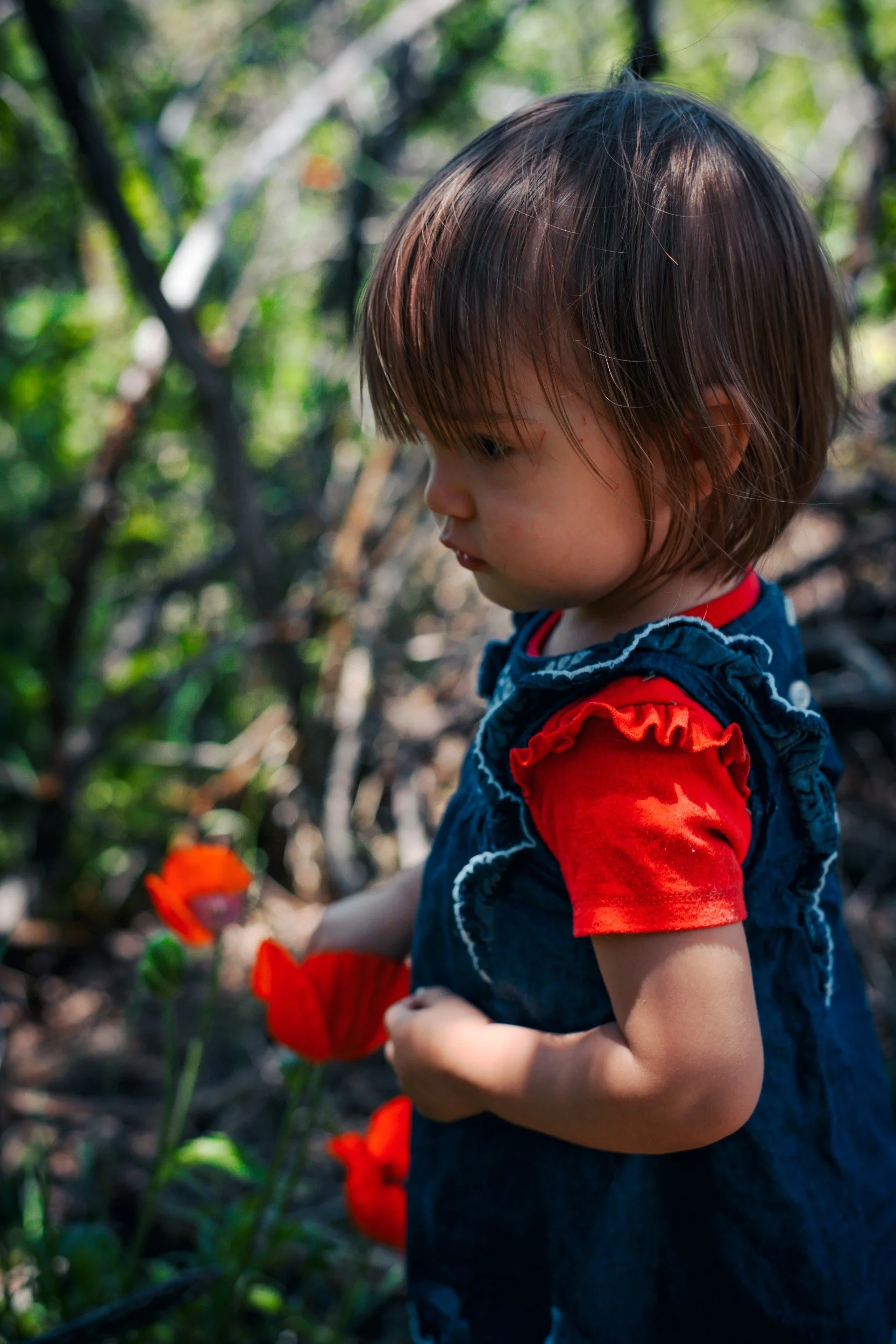 JUM_1814-1 (Custom).jpg