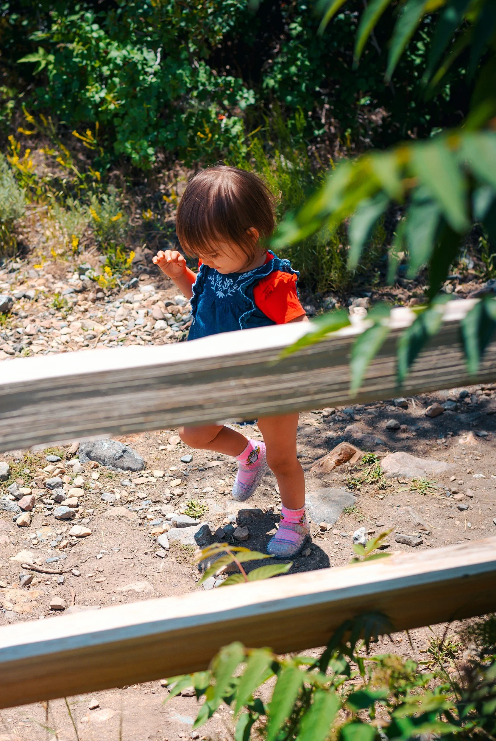 JUM_1673-crop (Custom).jpg