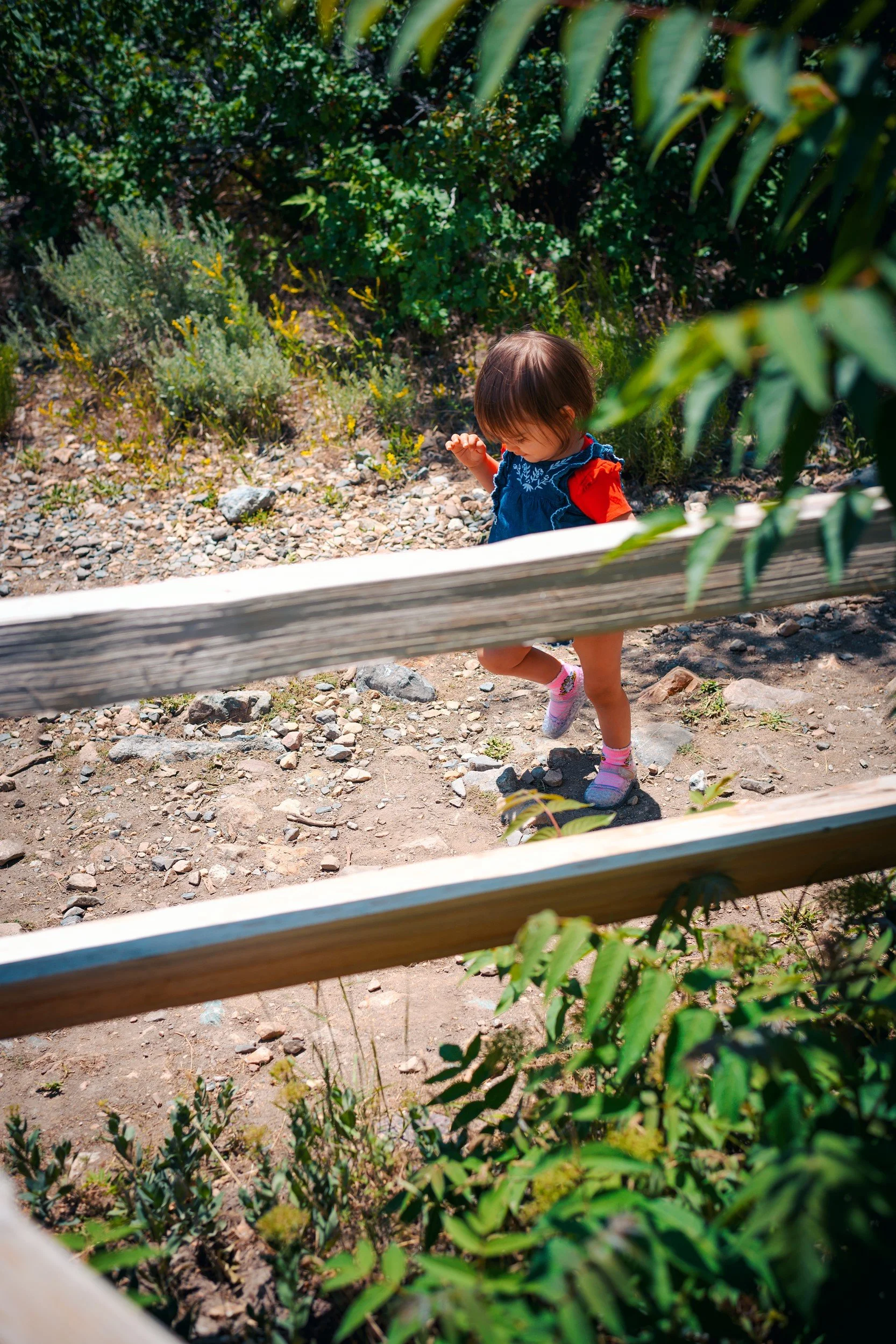 JUM_1673-1 (Custom).jpg