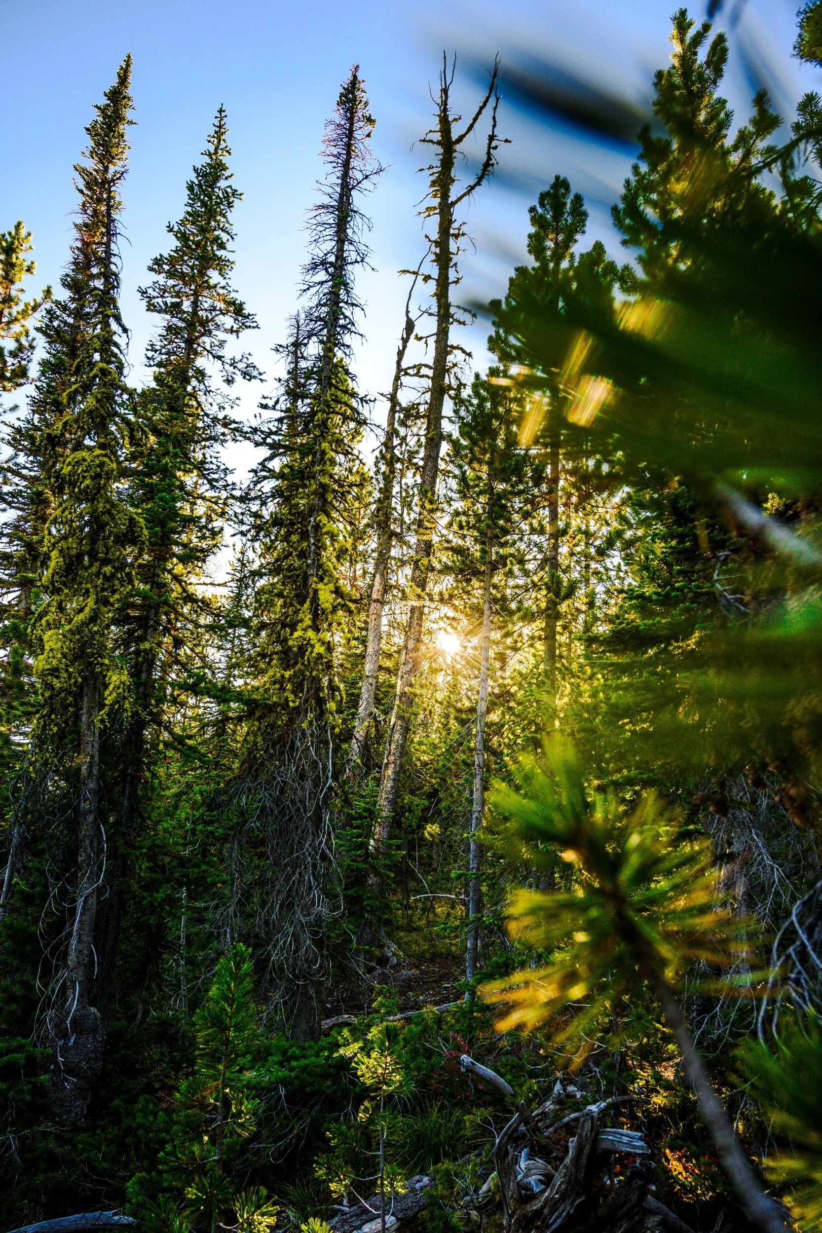 JUM_7197-1 (Custom).jpg