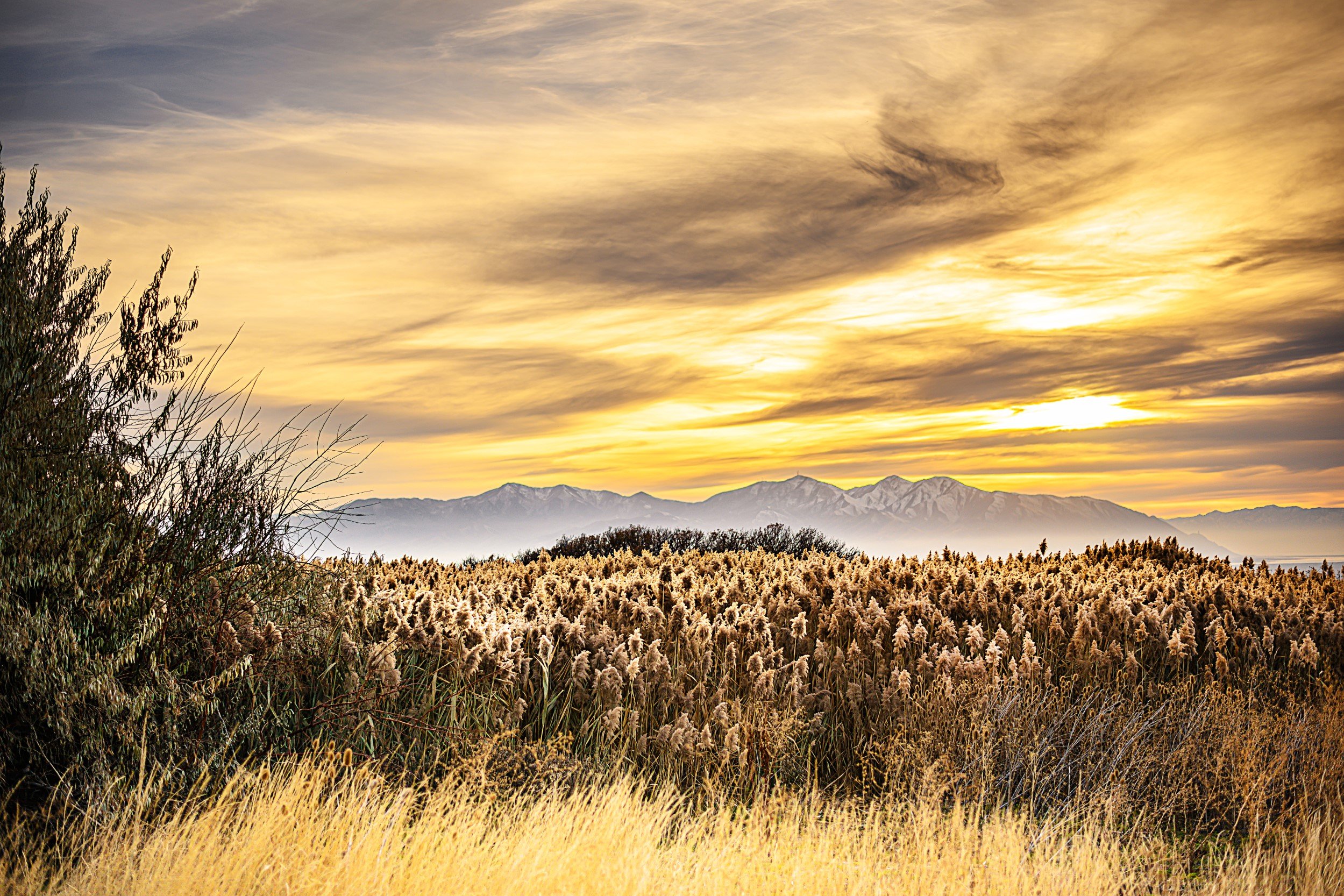 JUM_9934-1 (Custom).jpg