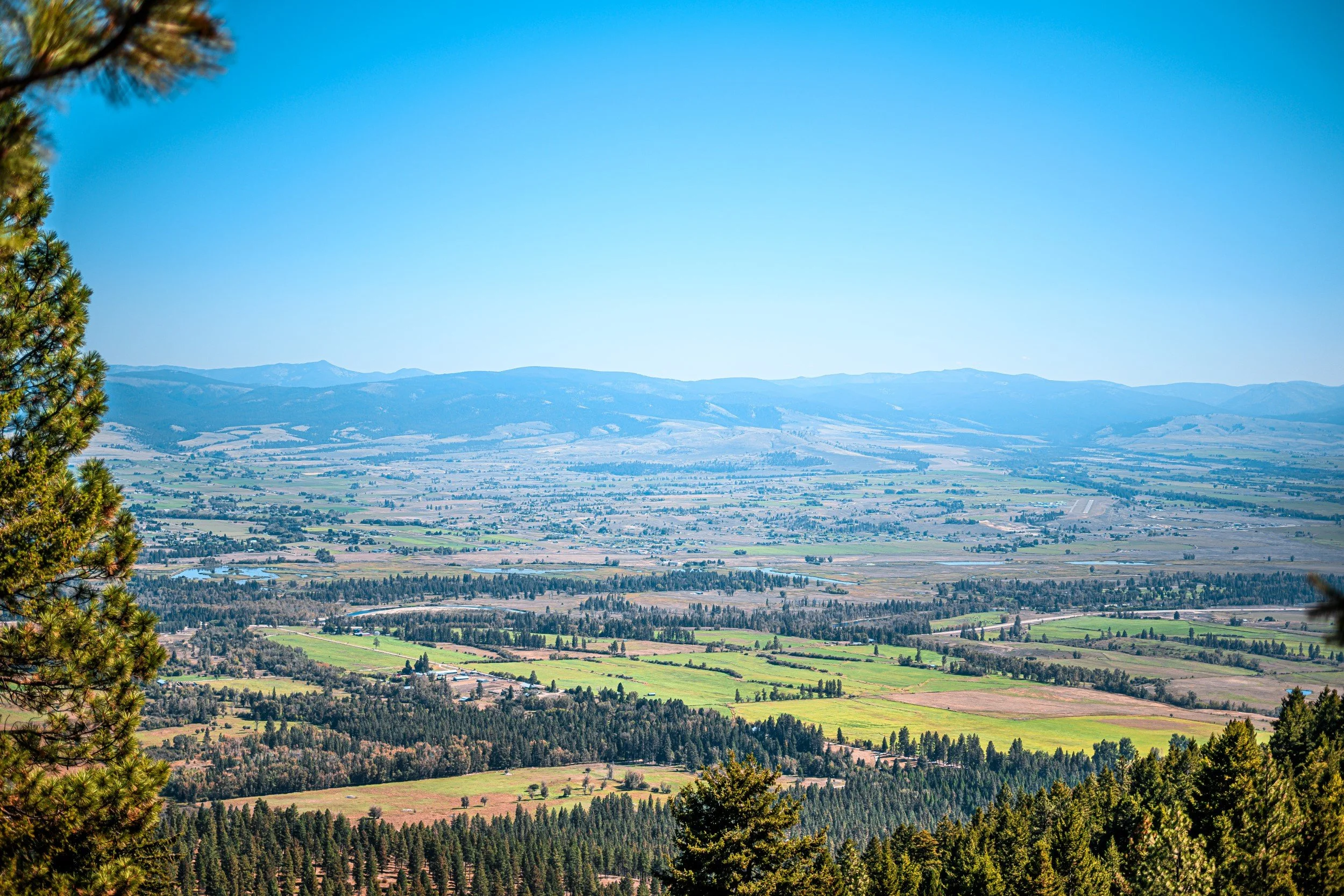 JUM_7087-1 (Custom).jpg