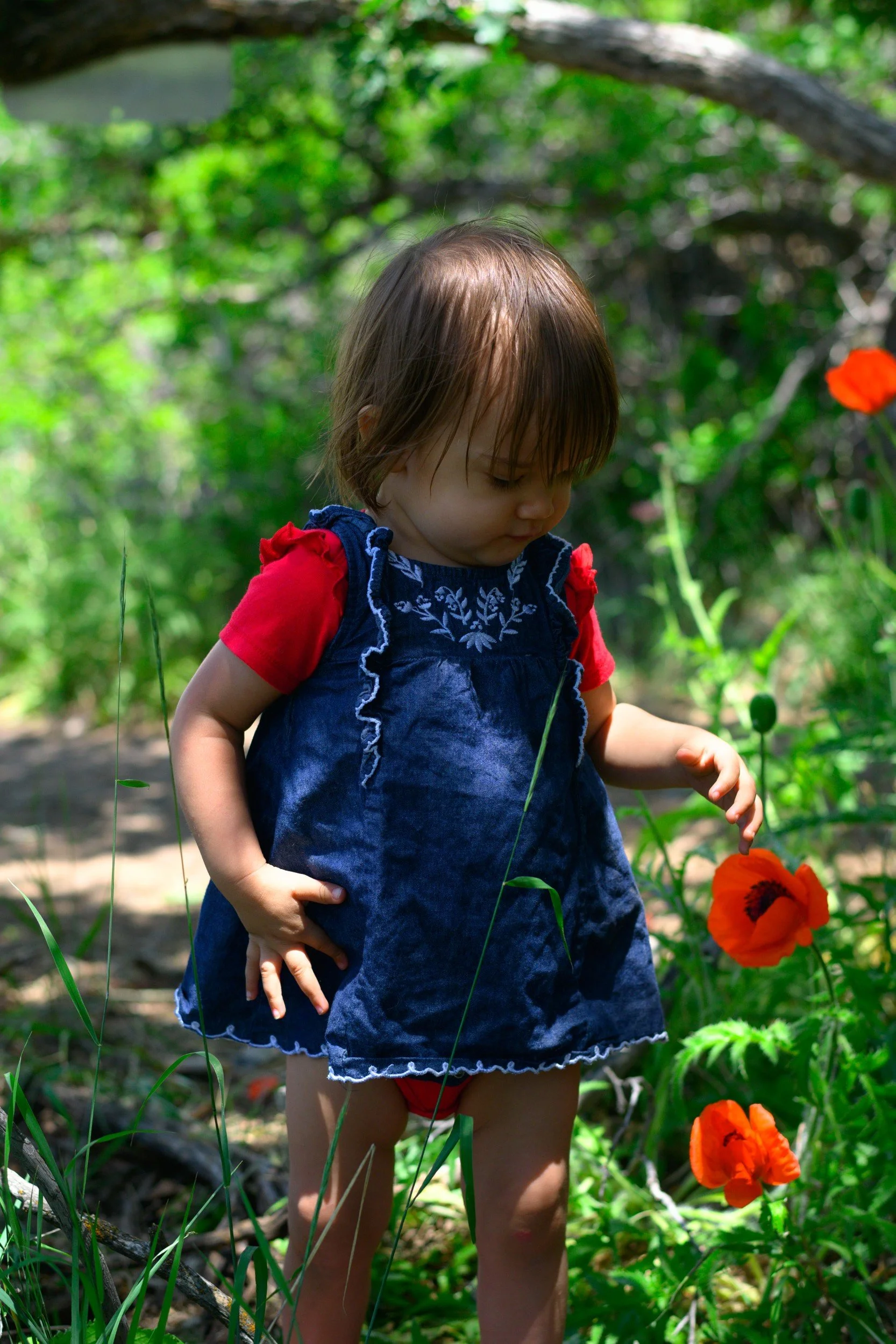 JUM_1820-1 (Custom).jpg