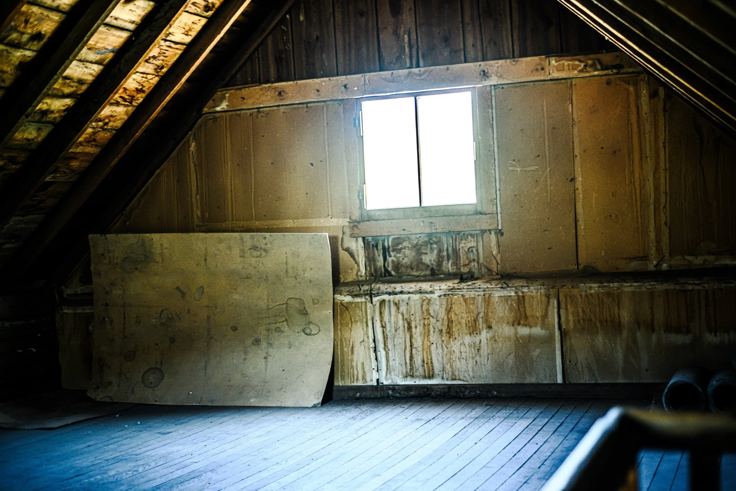 JUM_6937-1 (Custom).jpg