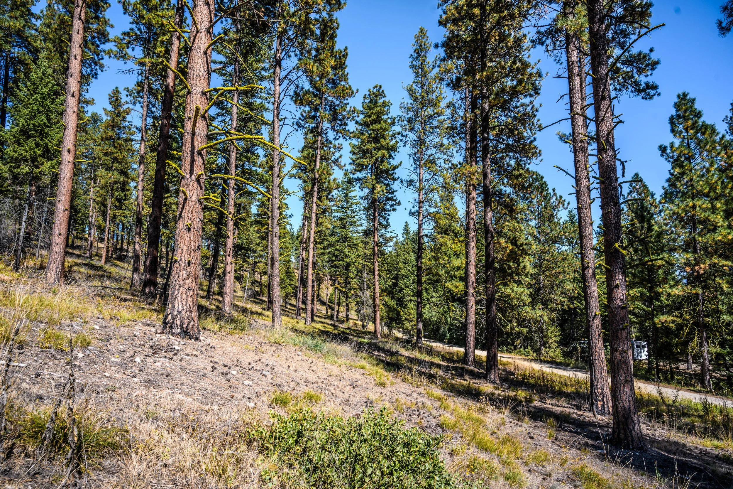 JUM_7106-1 (Custom).jpg