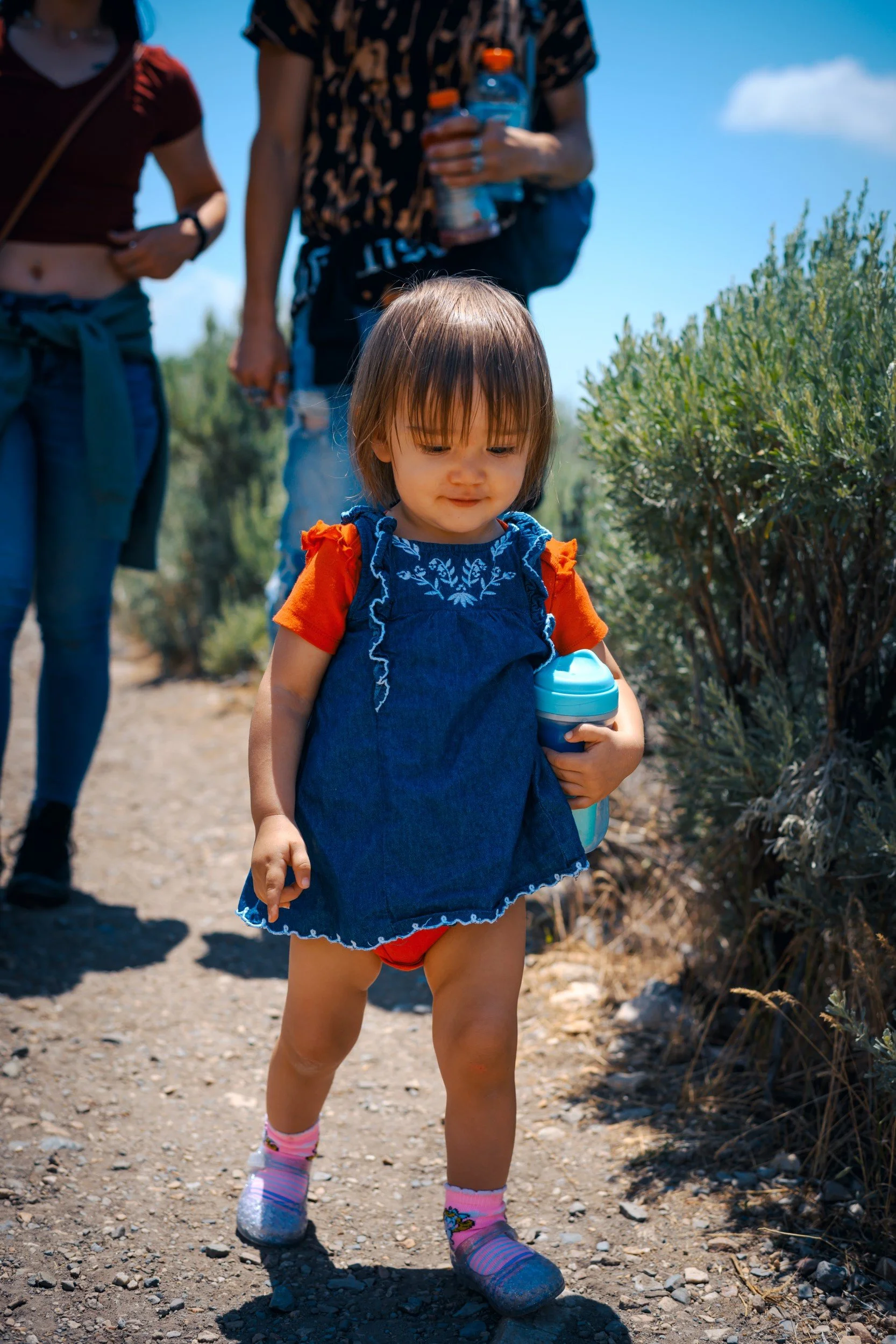 JUM_1669-1 (Custom).jpg