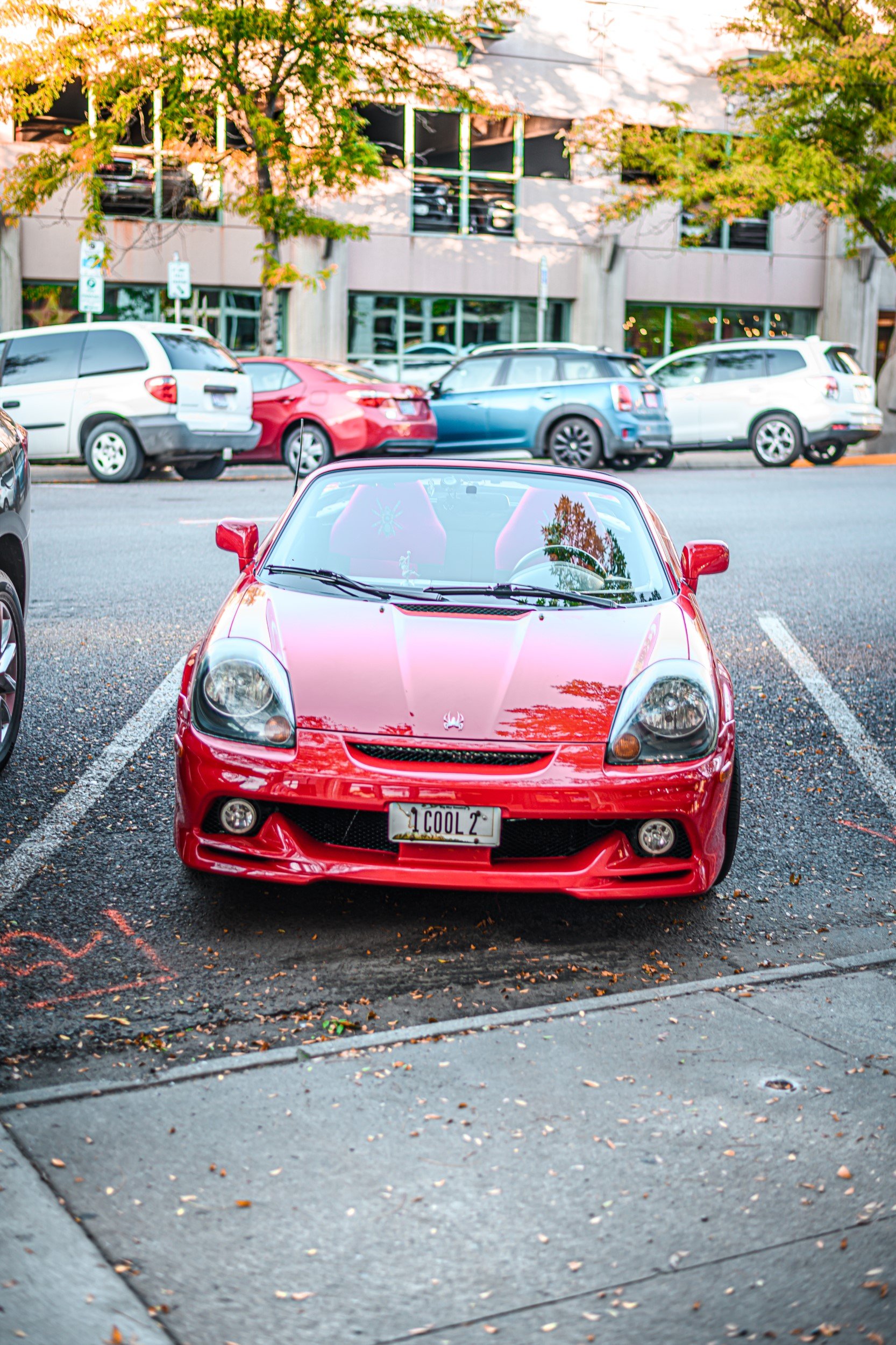 JUM_7029-1 (Custom).jpg