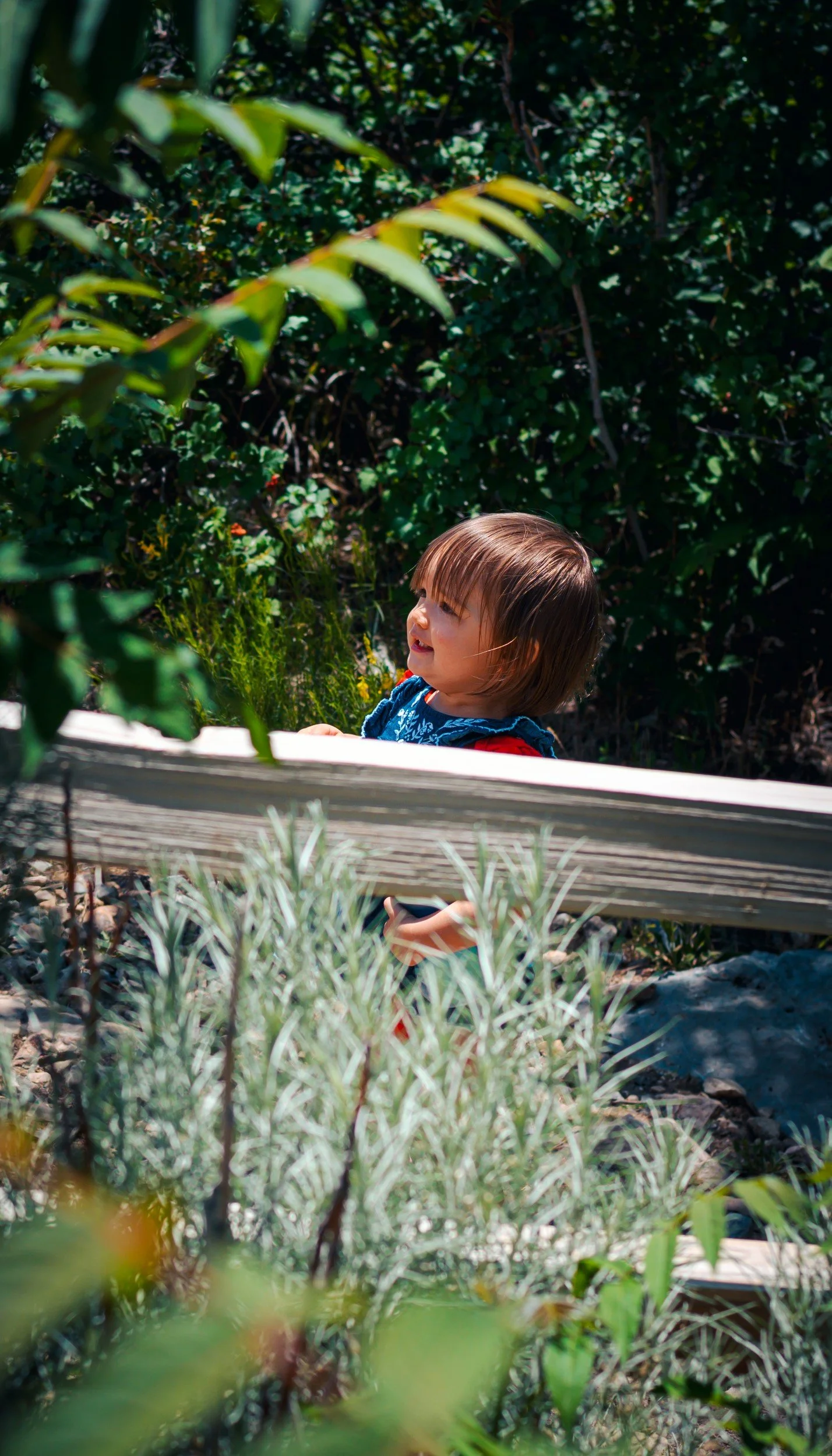 JUM_1672-1 (Custom).jpg