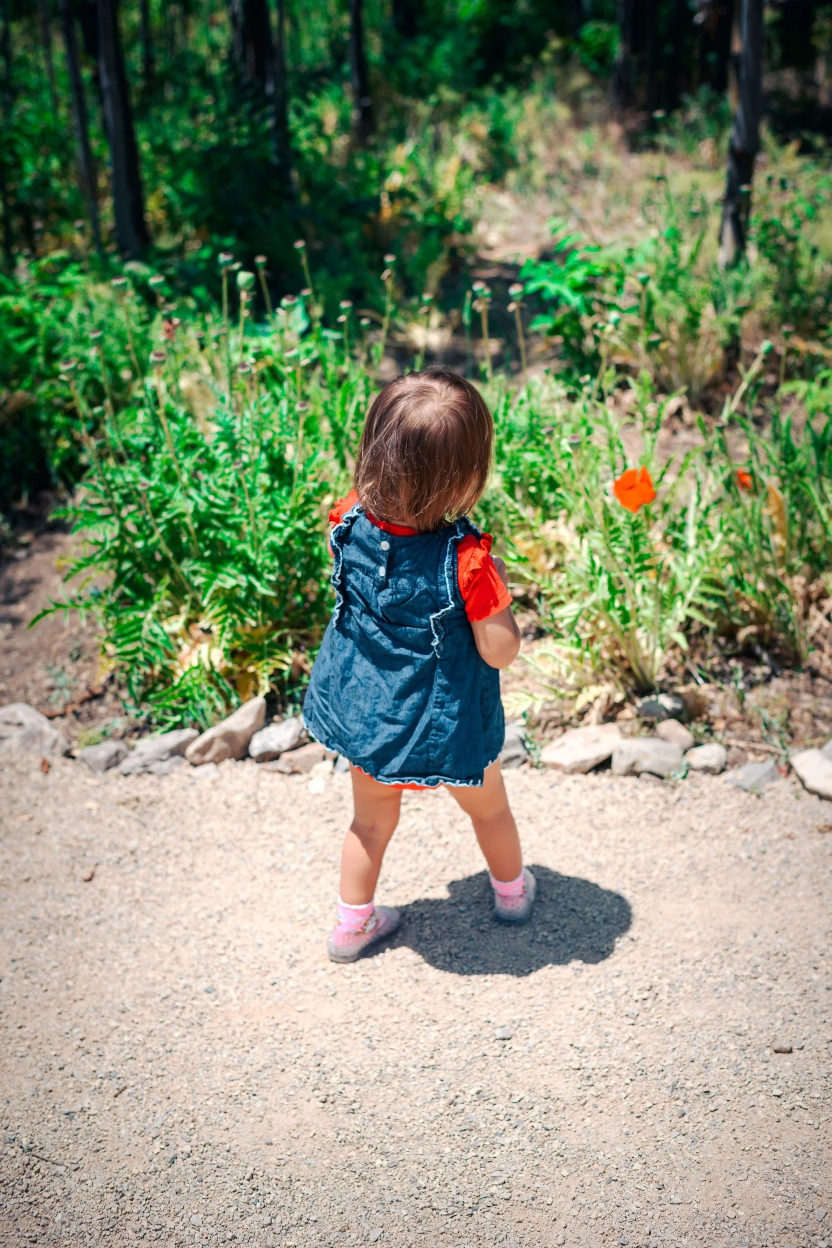 JUM_1714-1 (Custom).jpg