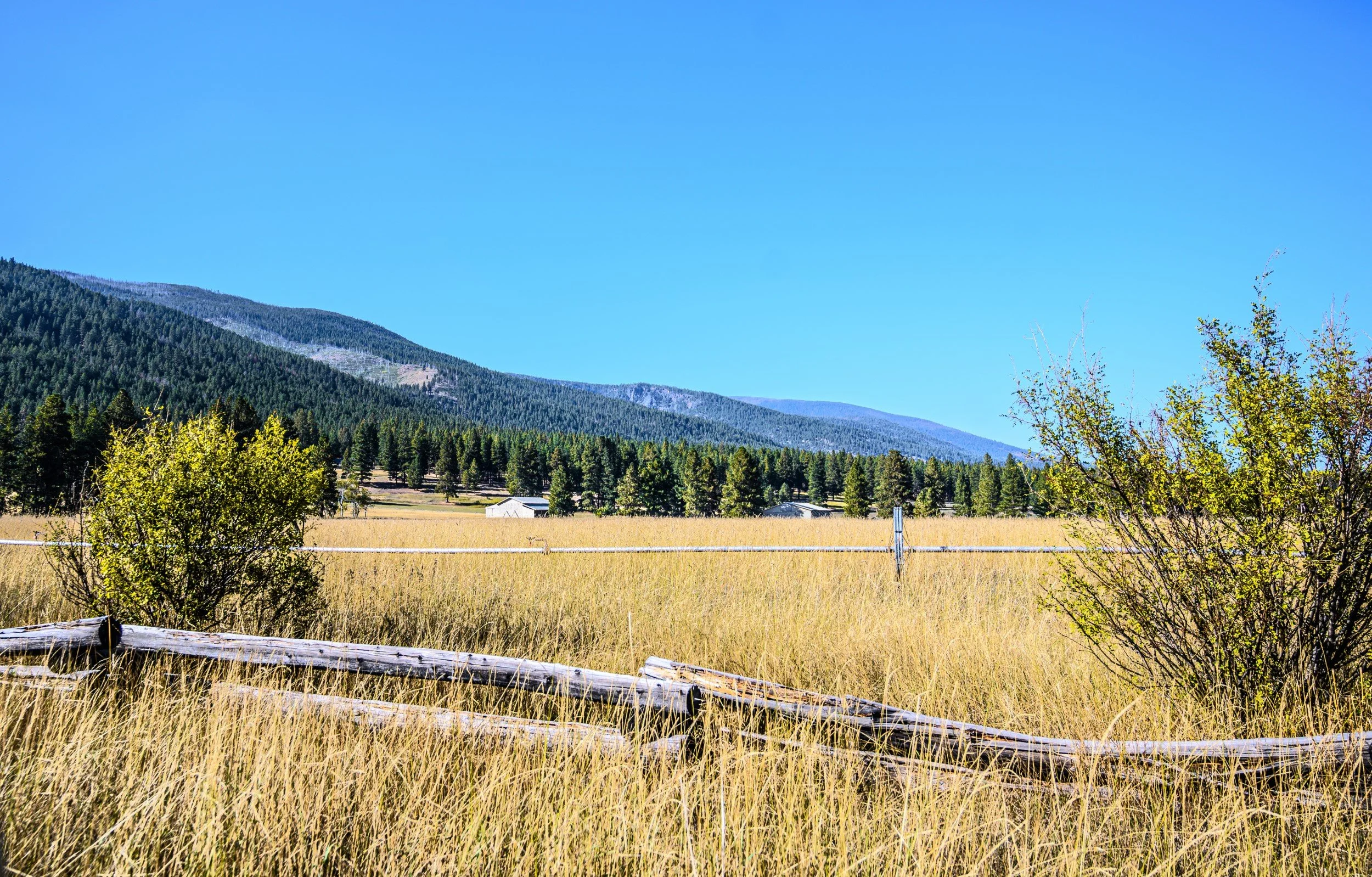 JUM_7160-1 (Custom).jpg