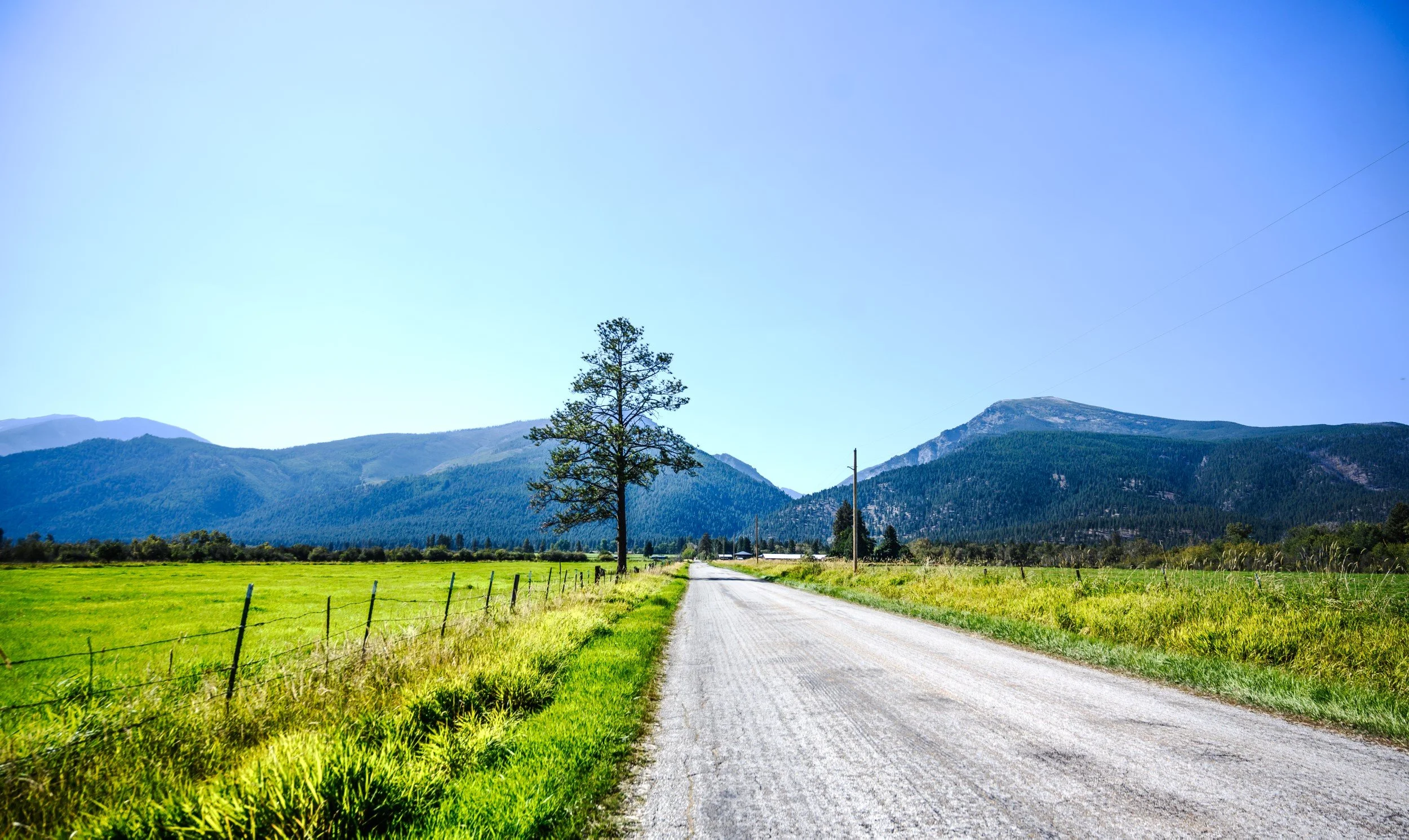 JUM_7136-1 (Custom).jpg