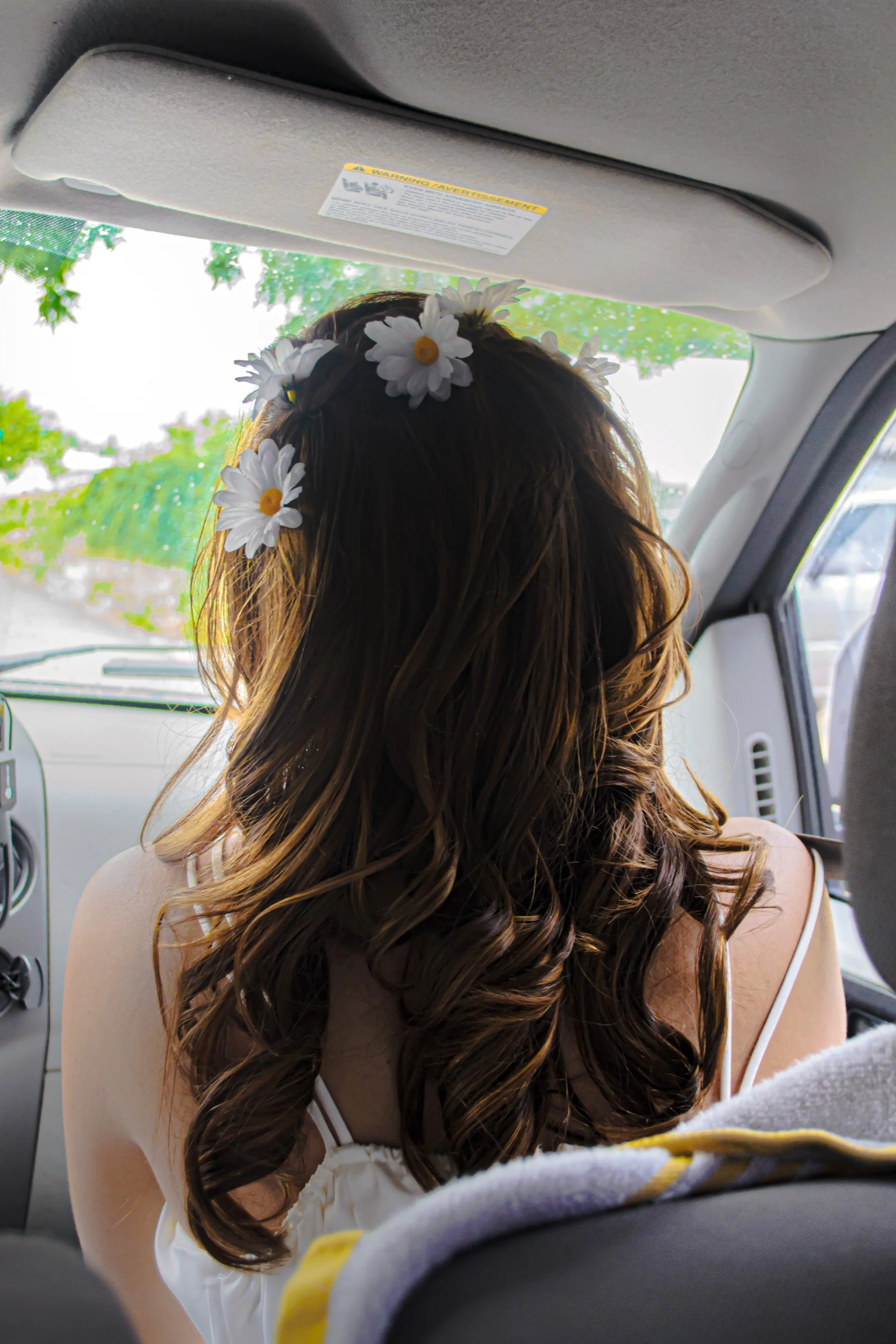 DSC_0012 (Custom).jpg