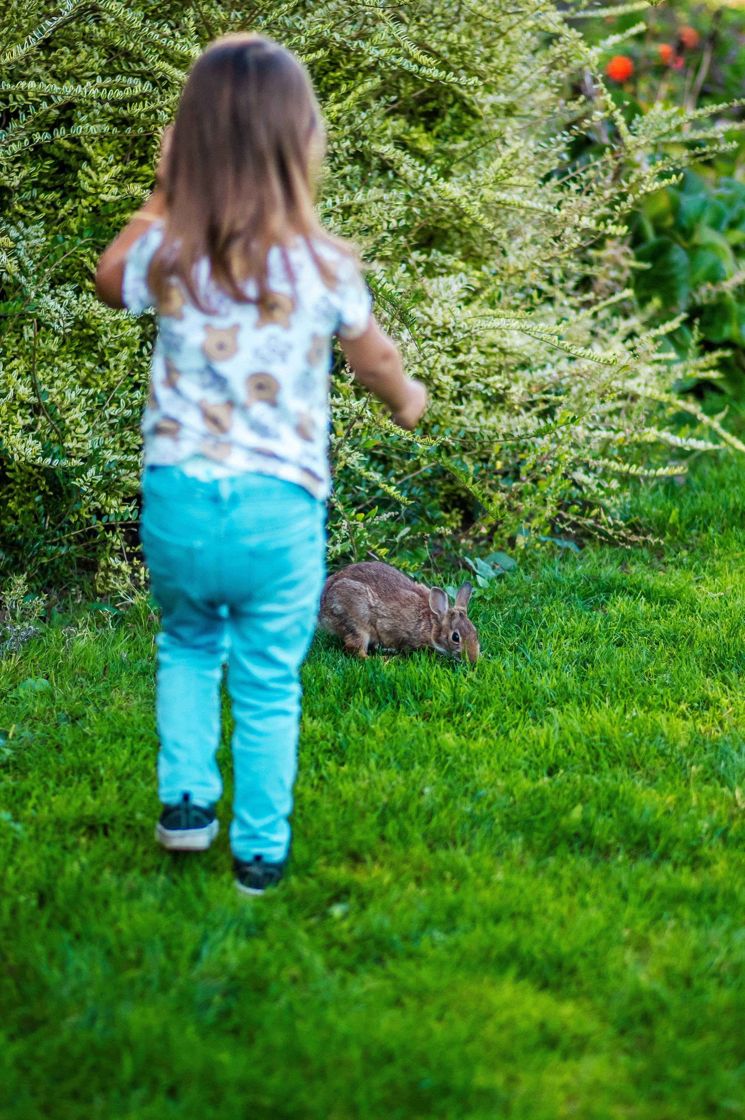 JUM_7551 (Custom).jpg