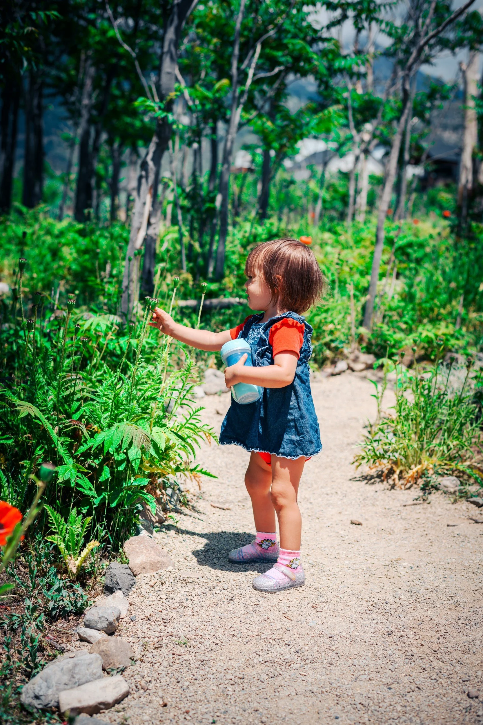 JUM_1719-1 (Custom).jpg