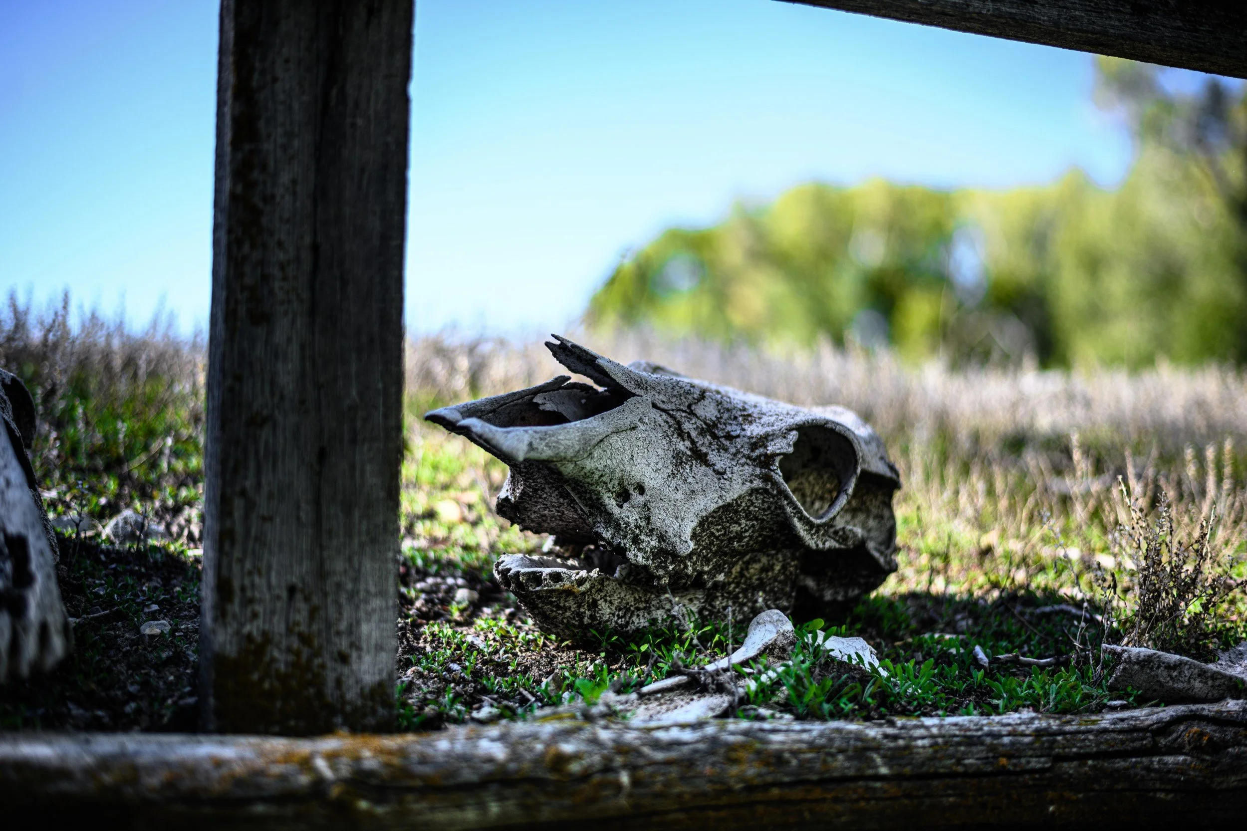 JUM_6997-1 (Custom).jpg