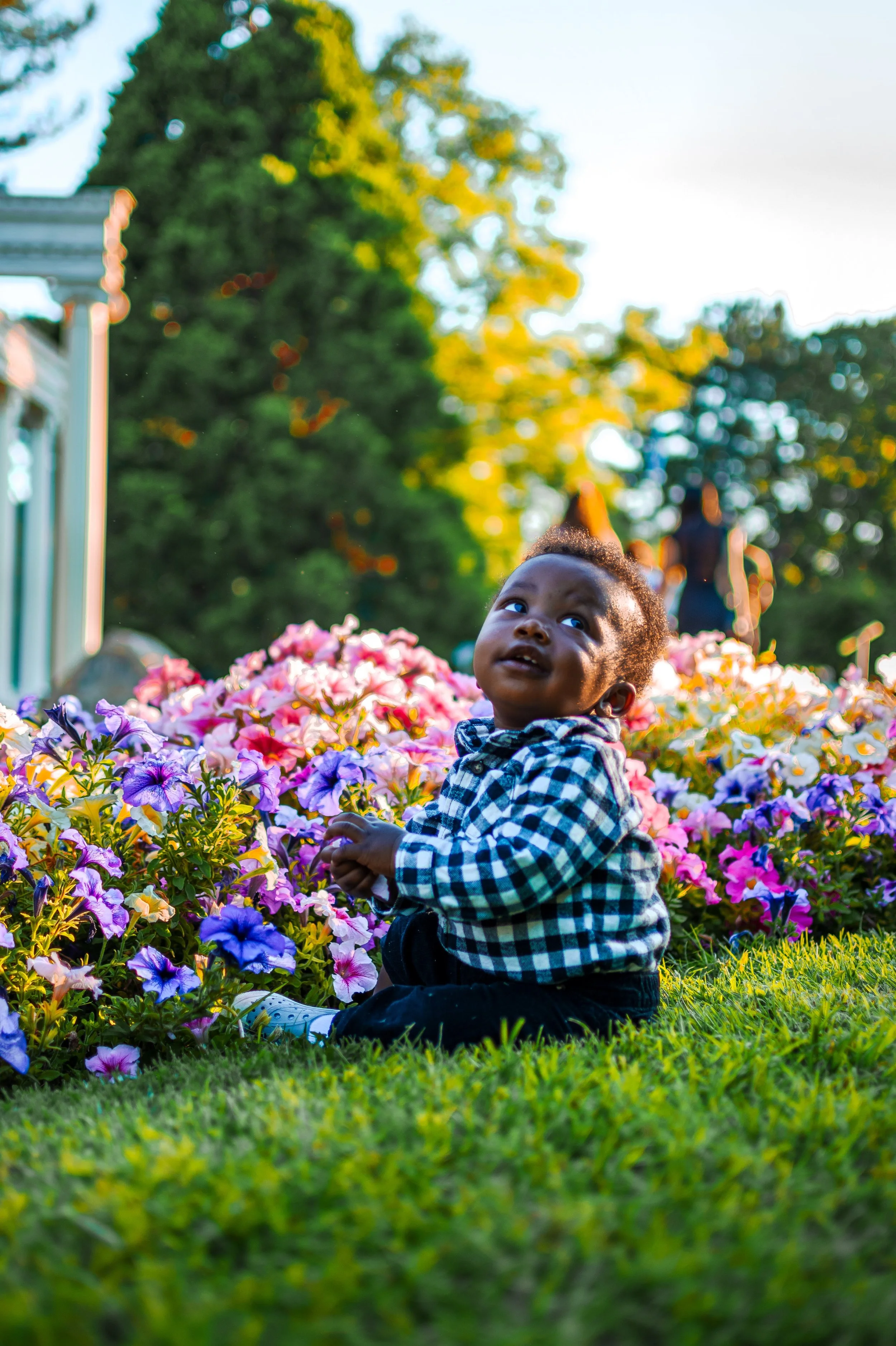 JUM_6249 (Custom).jpg