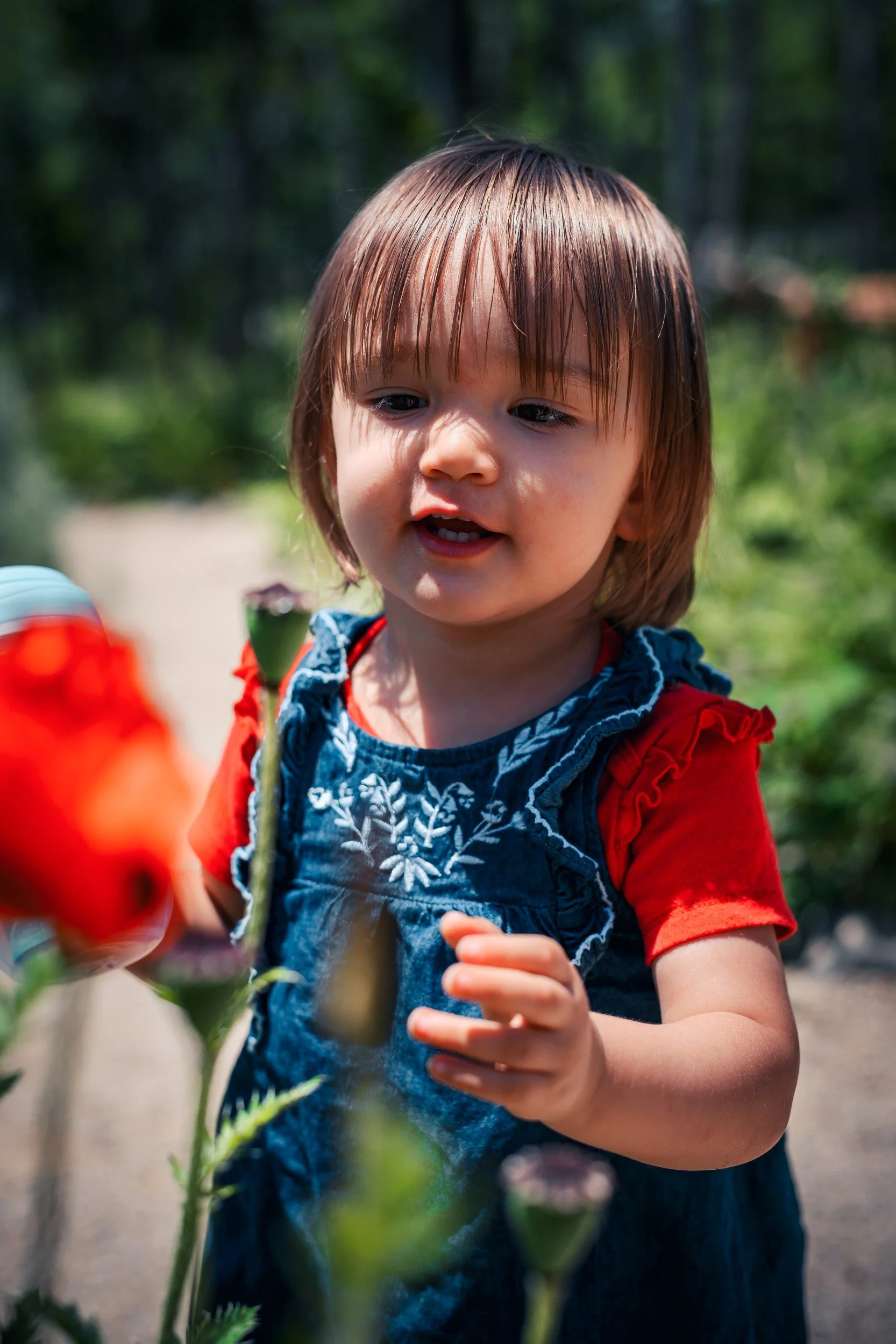 JUM_1793-1 (Custom).jpg