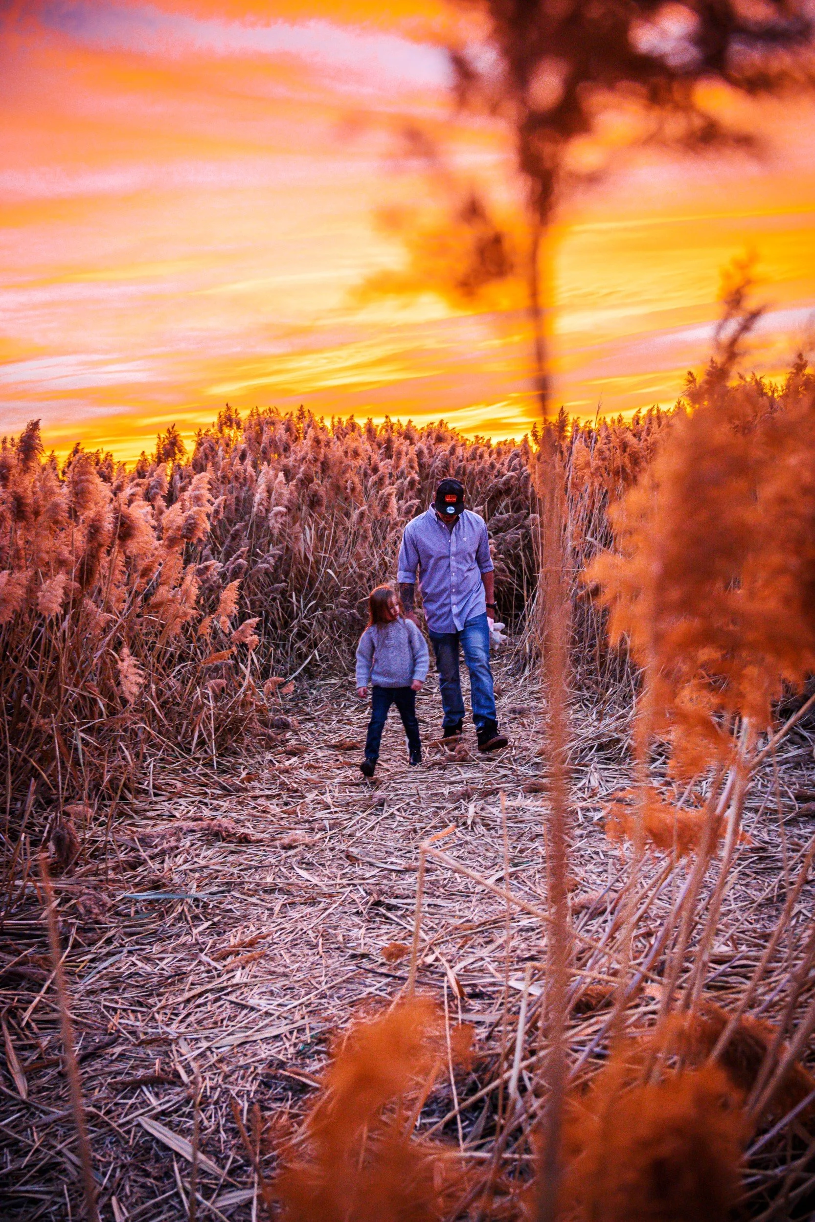 JUM_0438-1 (Custom).jpg