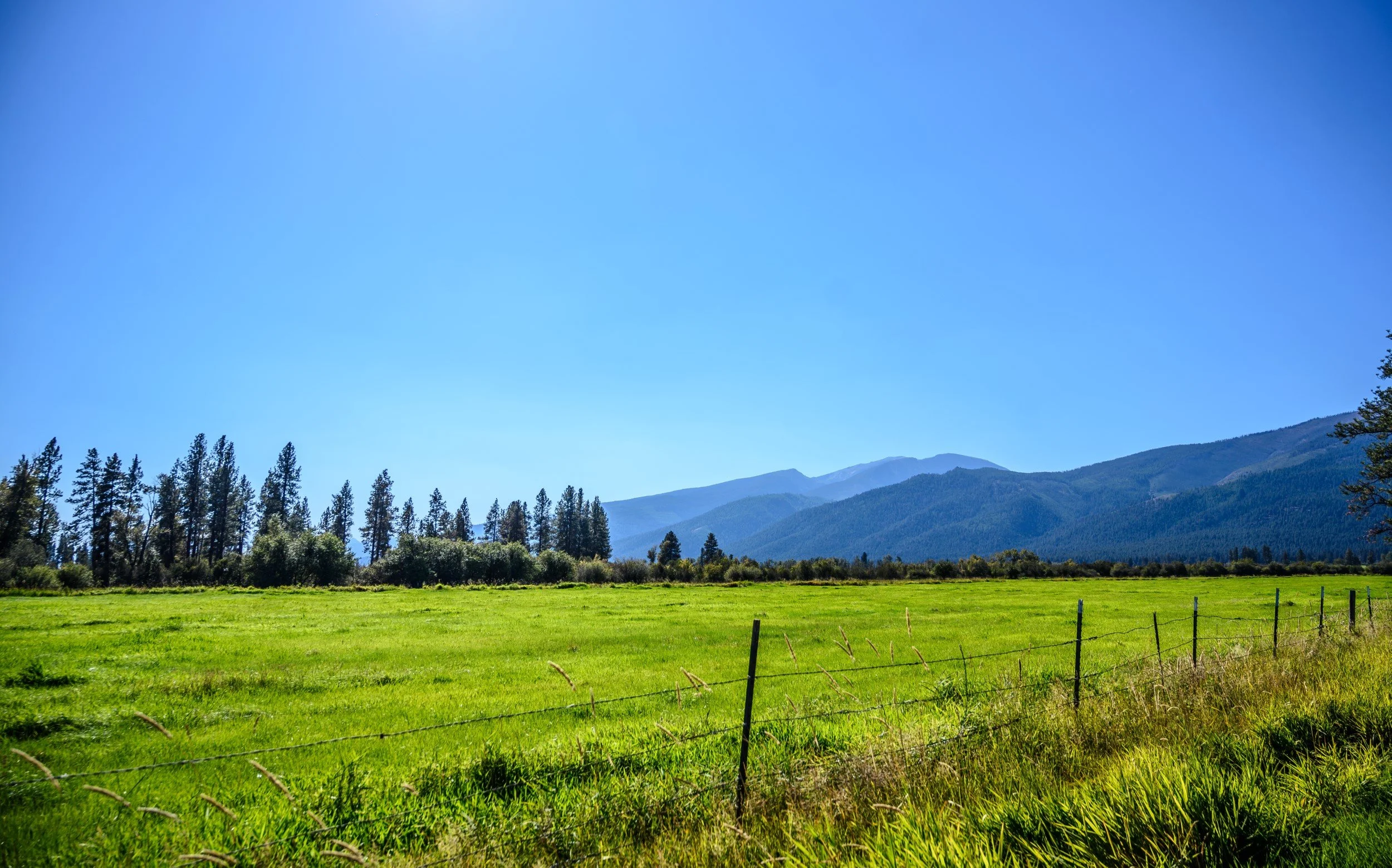 JUM_7137-1 (Custom).jpg