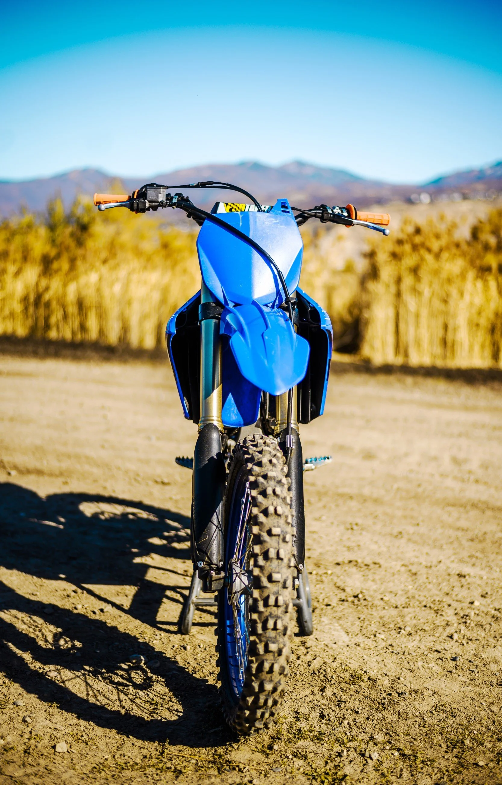 JUM_0737-1 (Custom).jpg