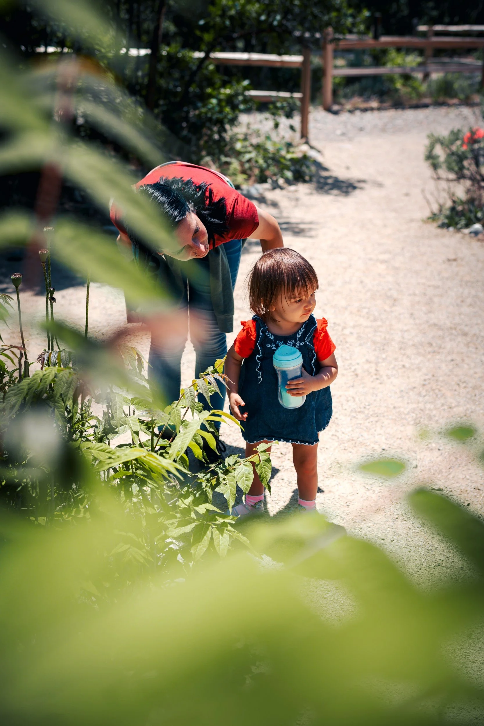 JUM_1711-1 (Custom).jpg