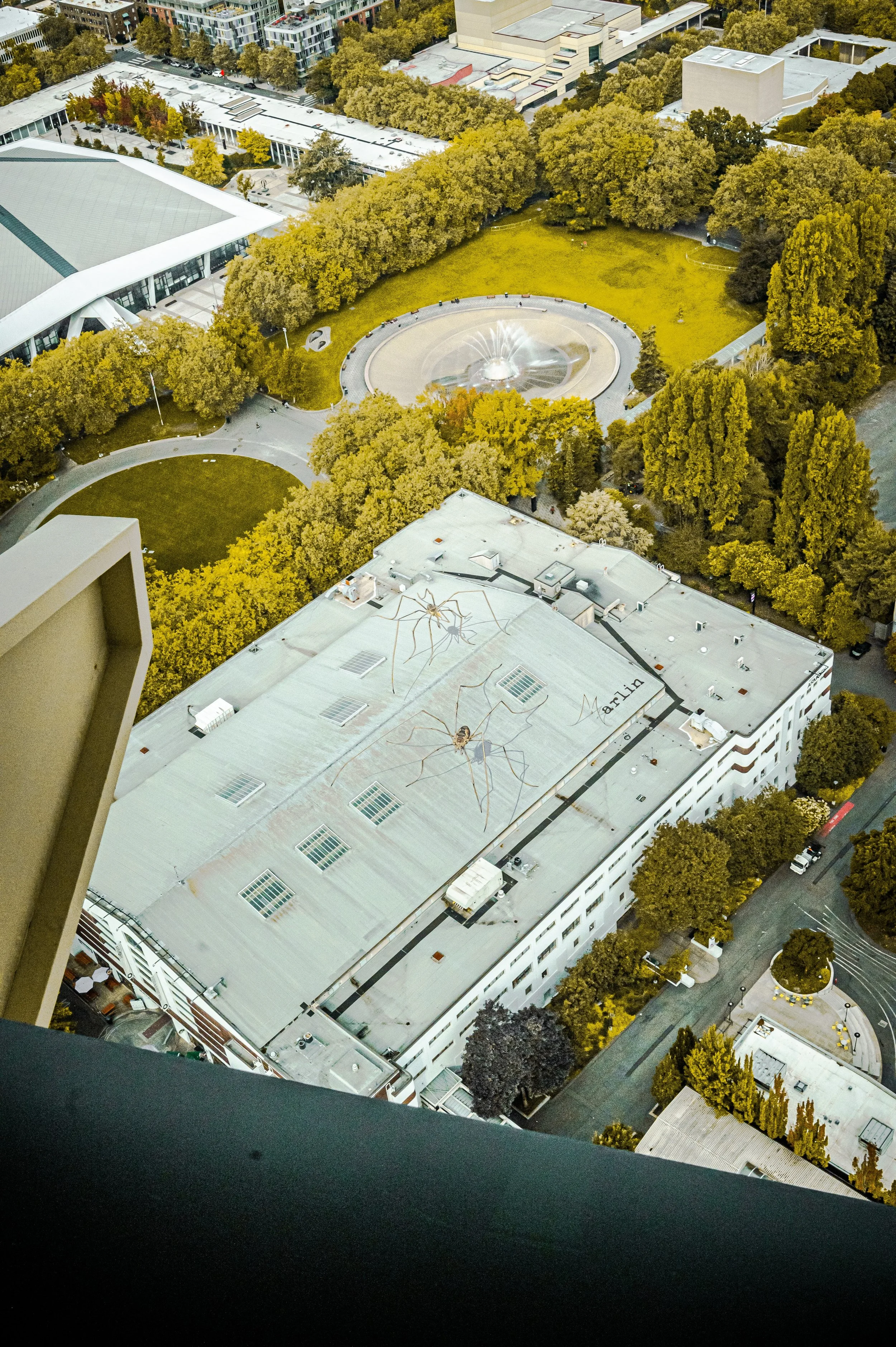 JUM_8143 (Custom).jpg