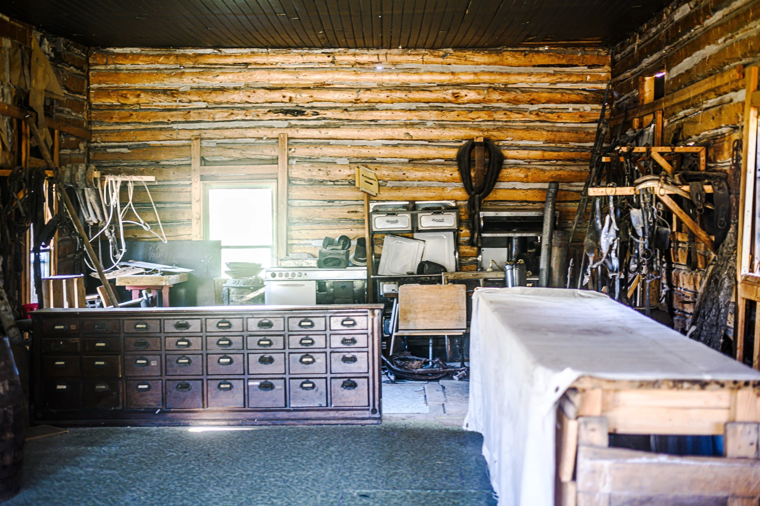 JUM_6826-1 (Custom).jpg