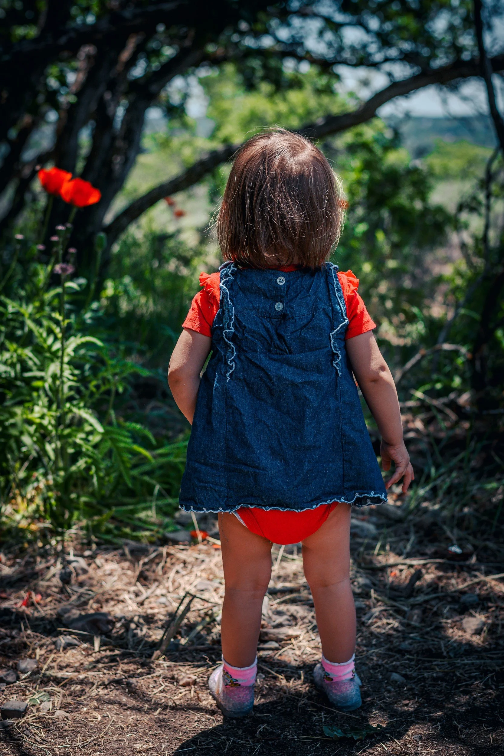 JUM_1811-1 (Custom).jpg