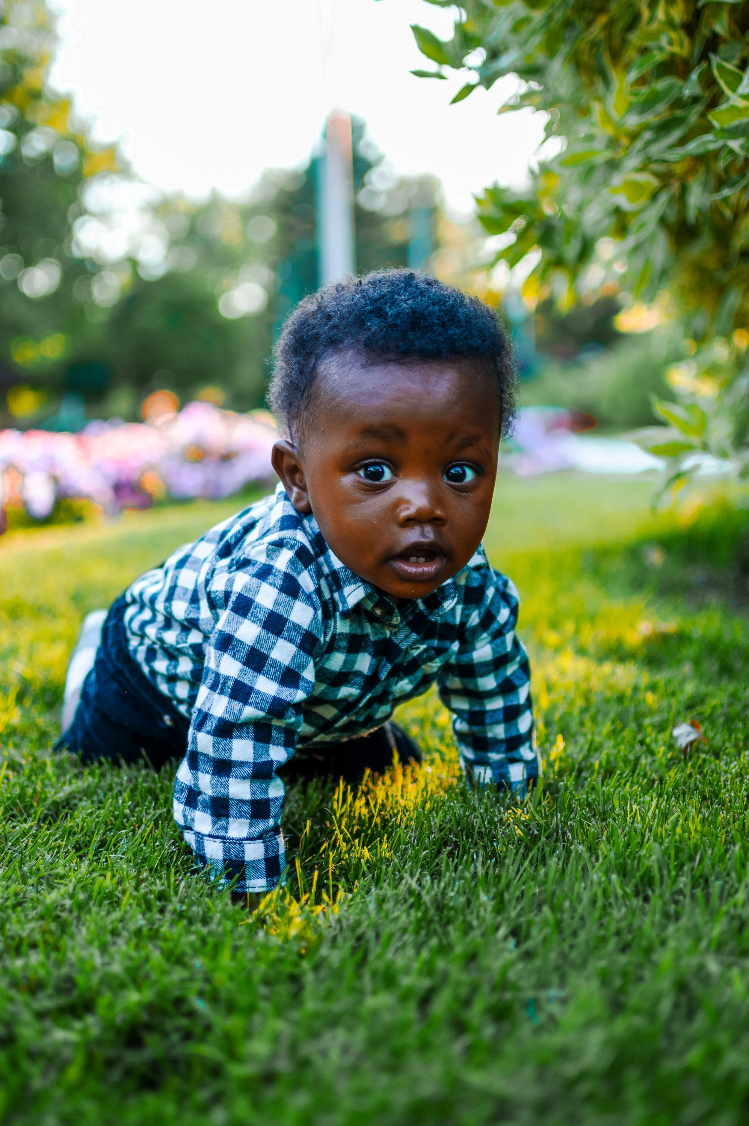 JUM_6231 (Custom).jpg