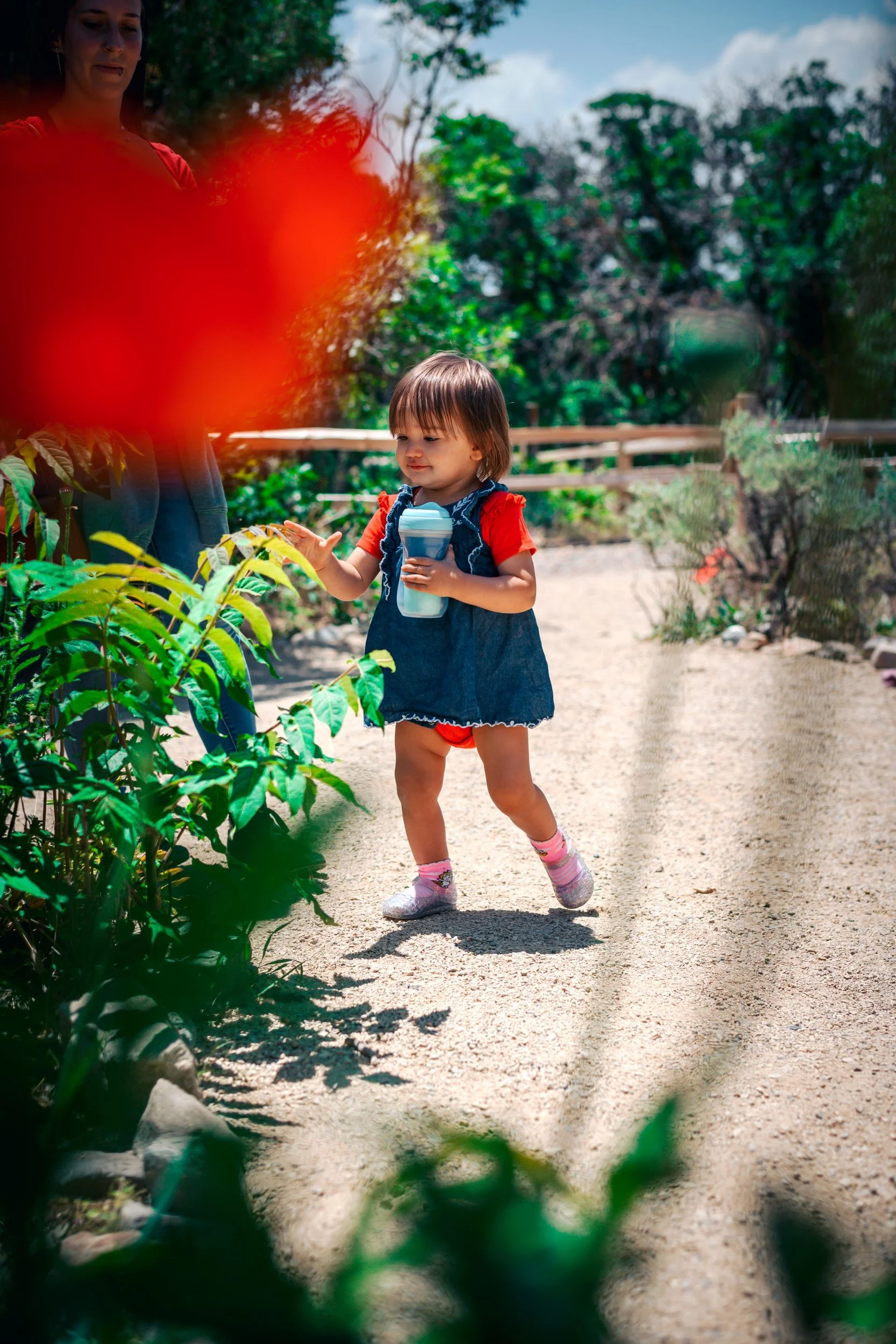 JUM_1709-1 (Custom).jpg